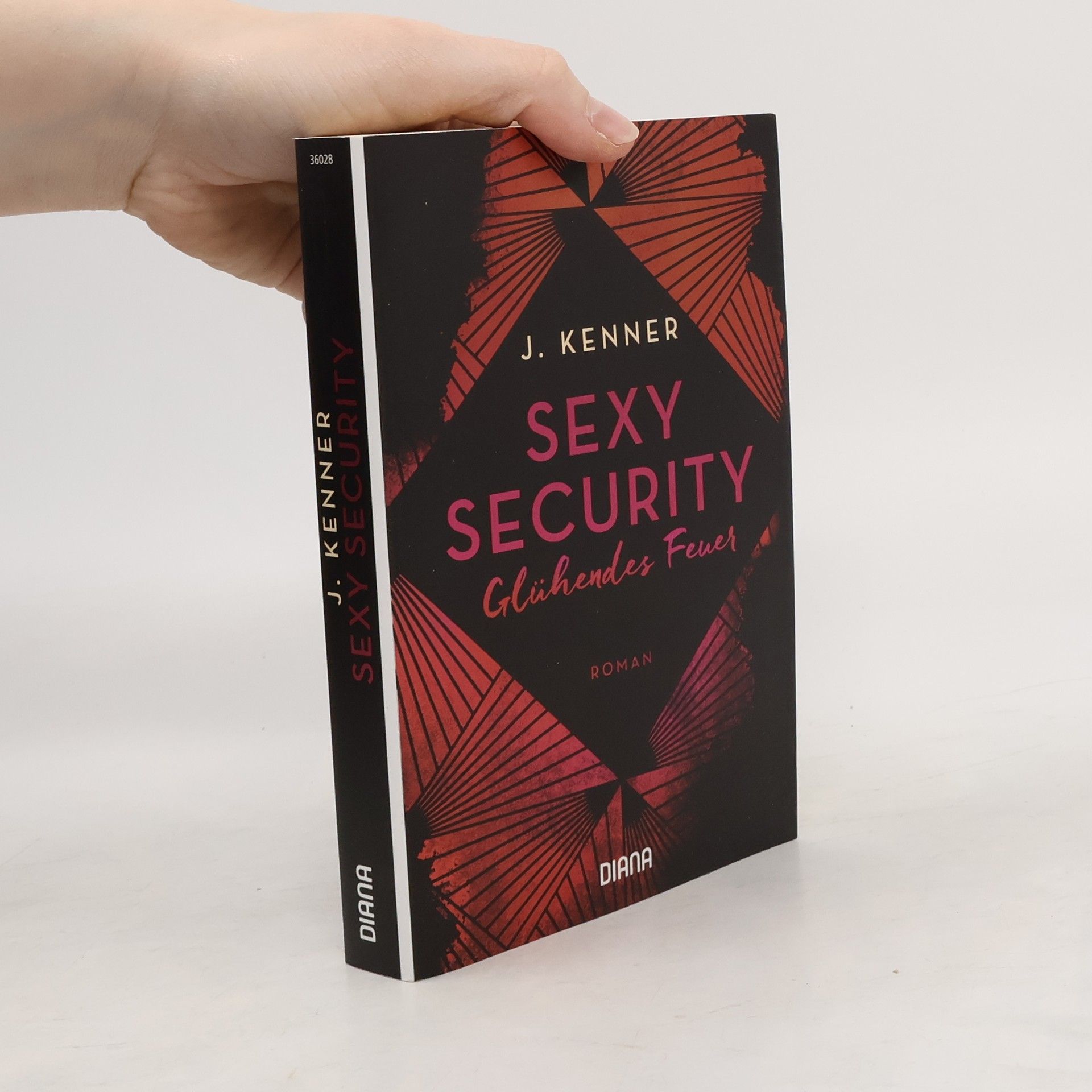 Julie Kenner Sexy Security. Glühendes Feuer - Roman