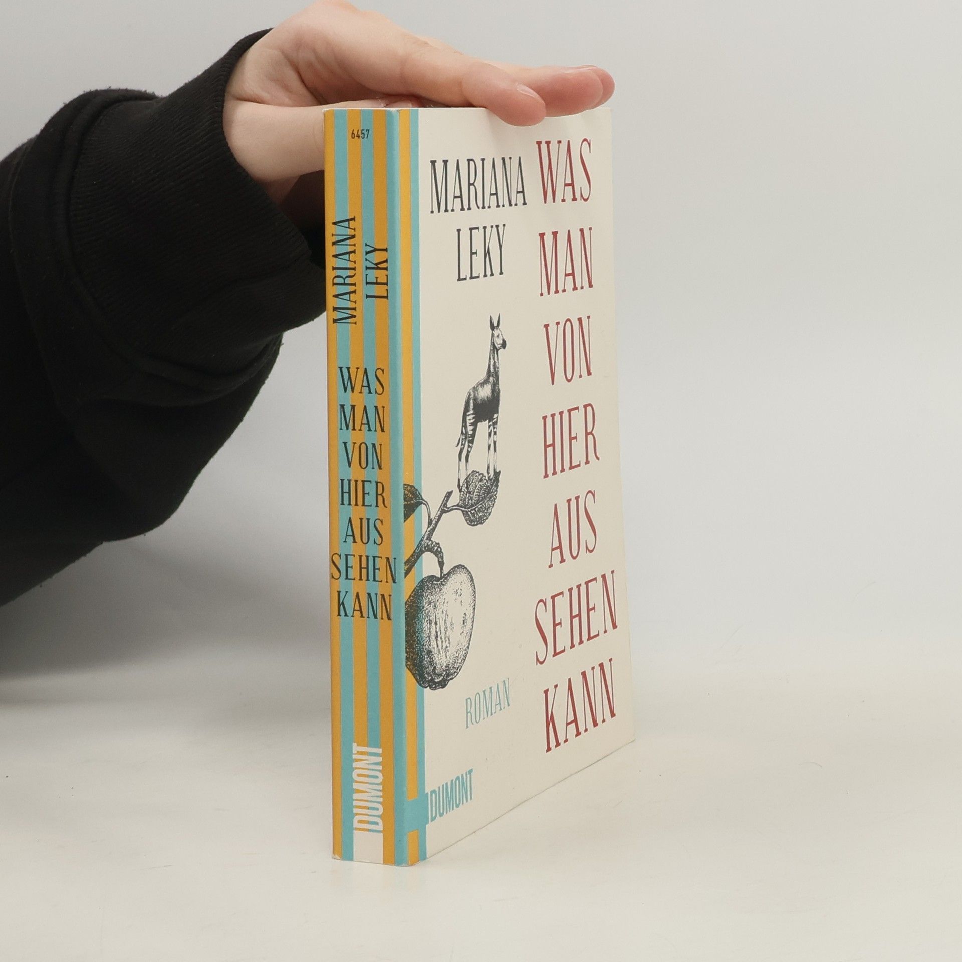 Mariana Leky Was man von hier aus sehen kann