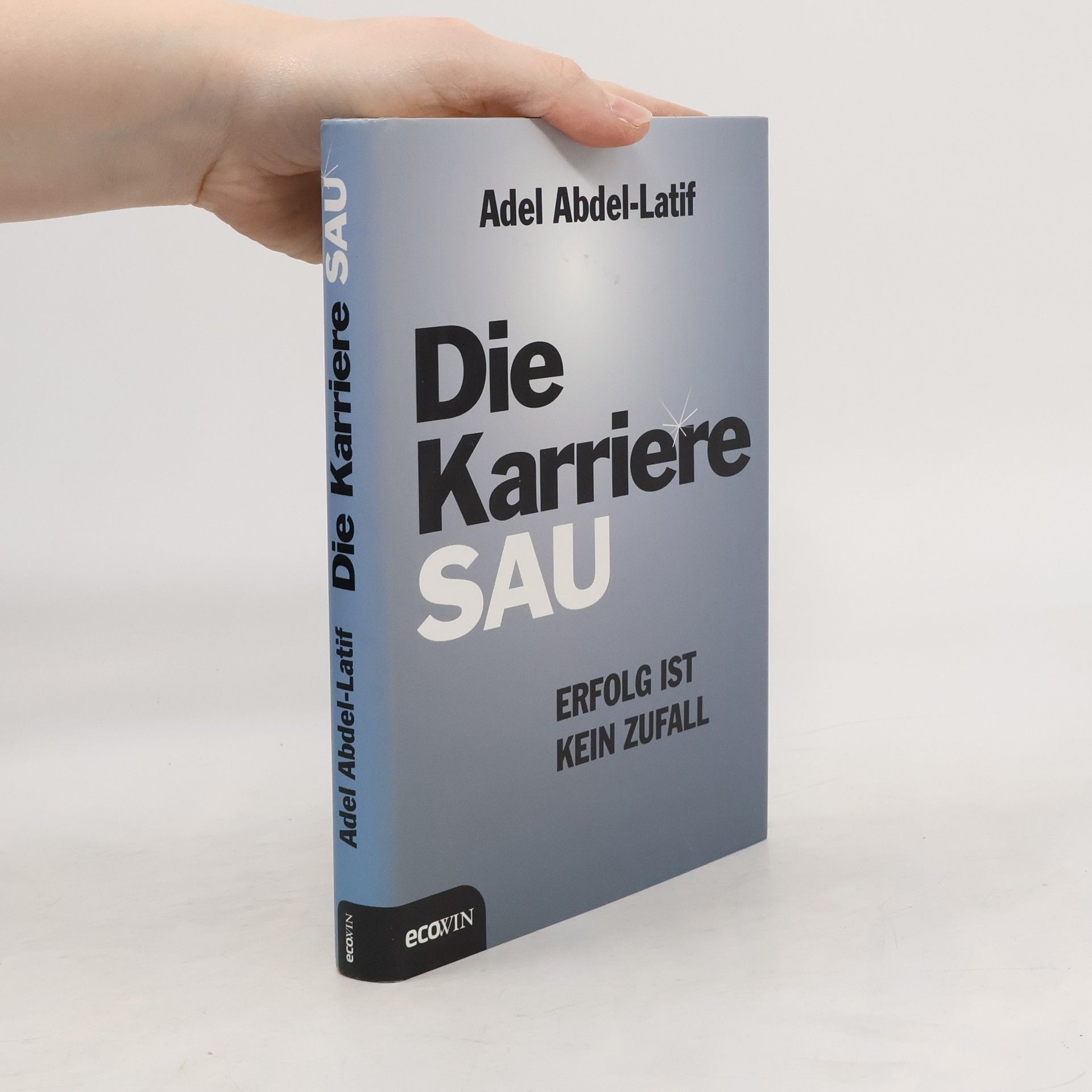 Die Karrieresau