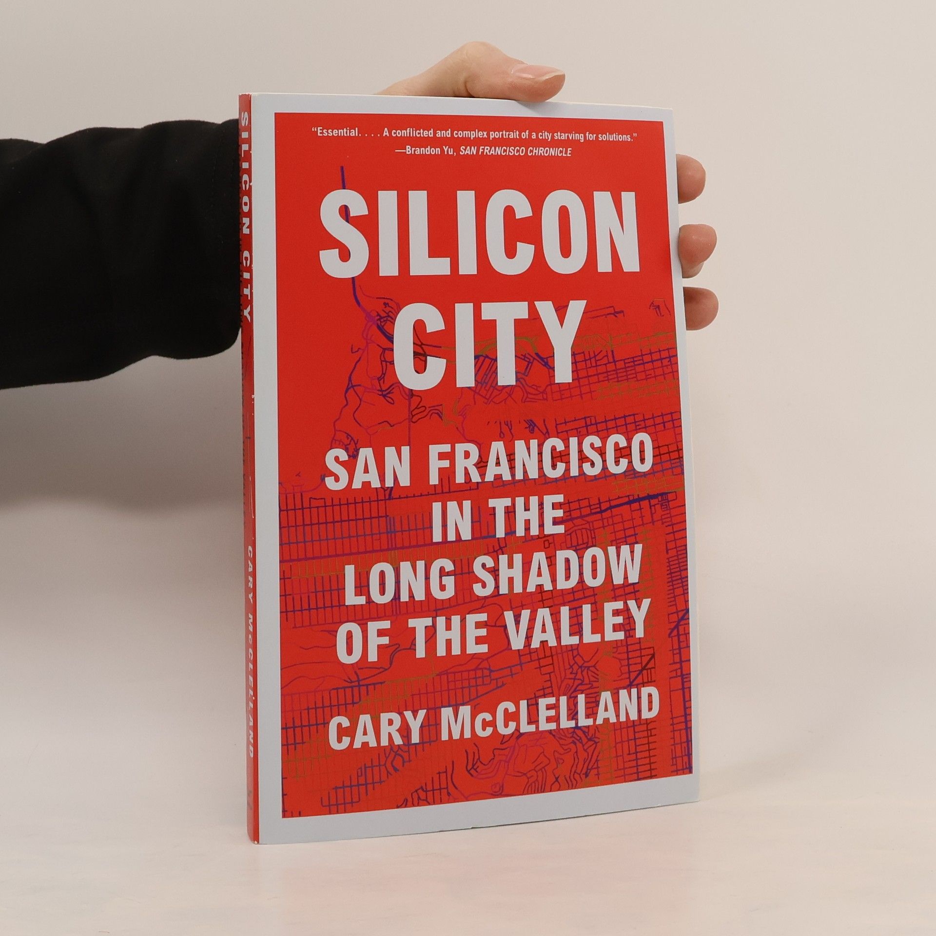 Cary McClelland Silicon City