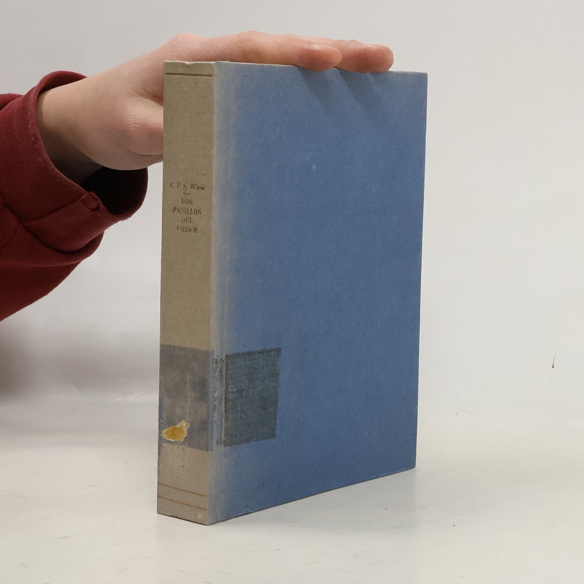 Los pasillos del poder