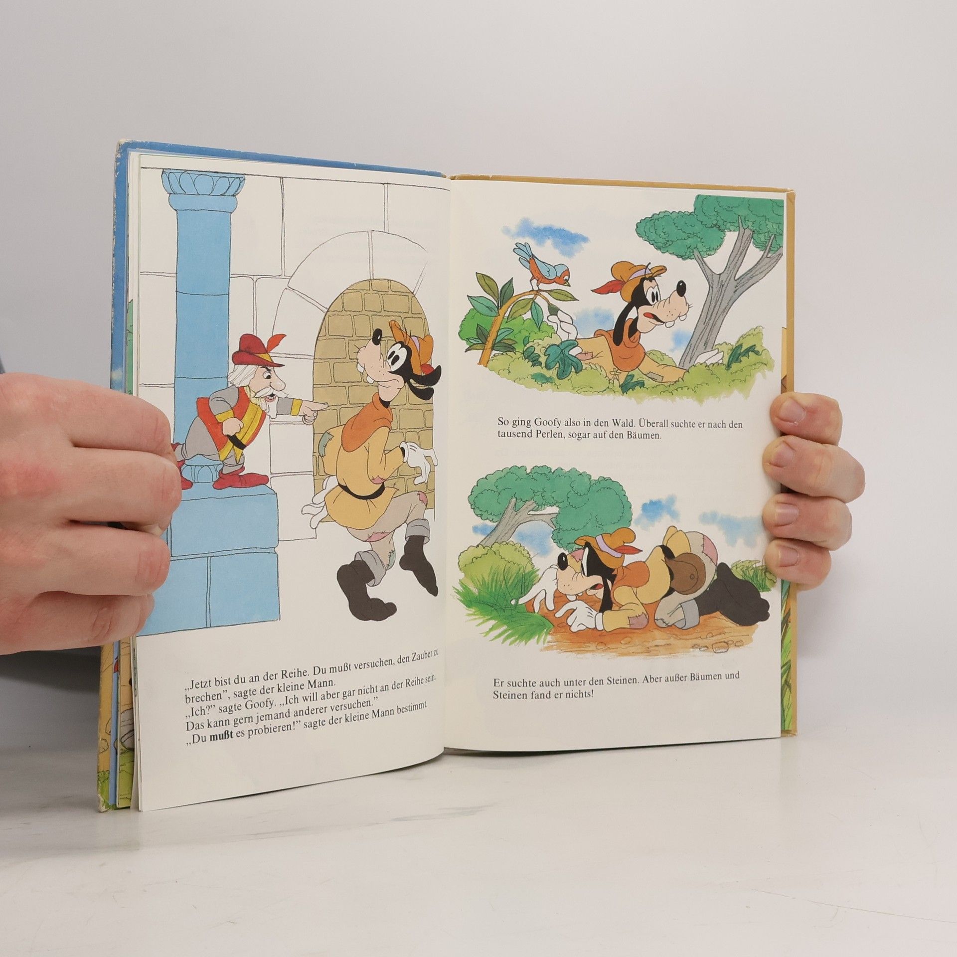 Autorenkollektiv Goofy und das verwunschene Schloß