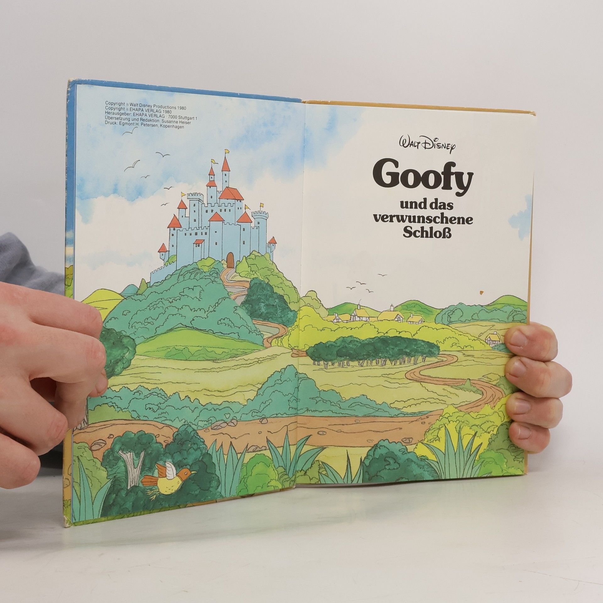 Autorenkollektiv Goofy und das verwunschene Schloß