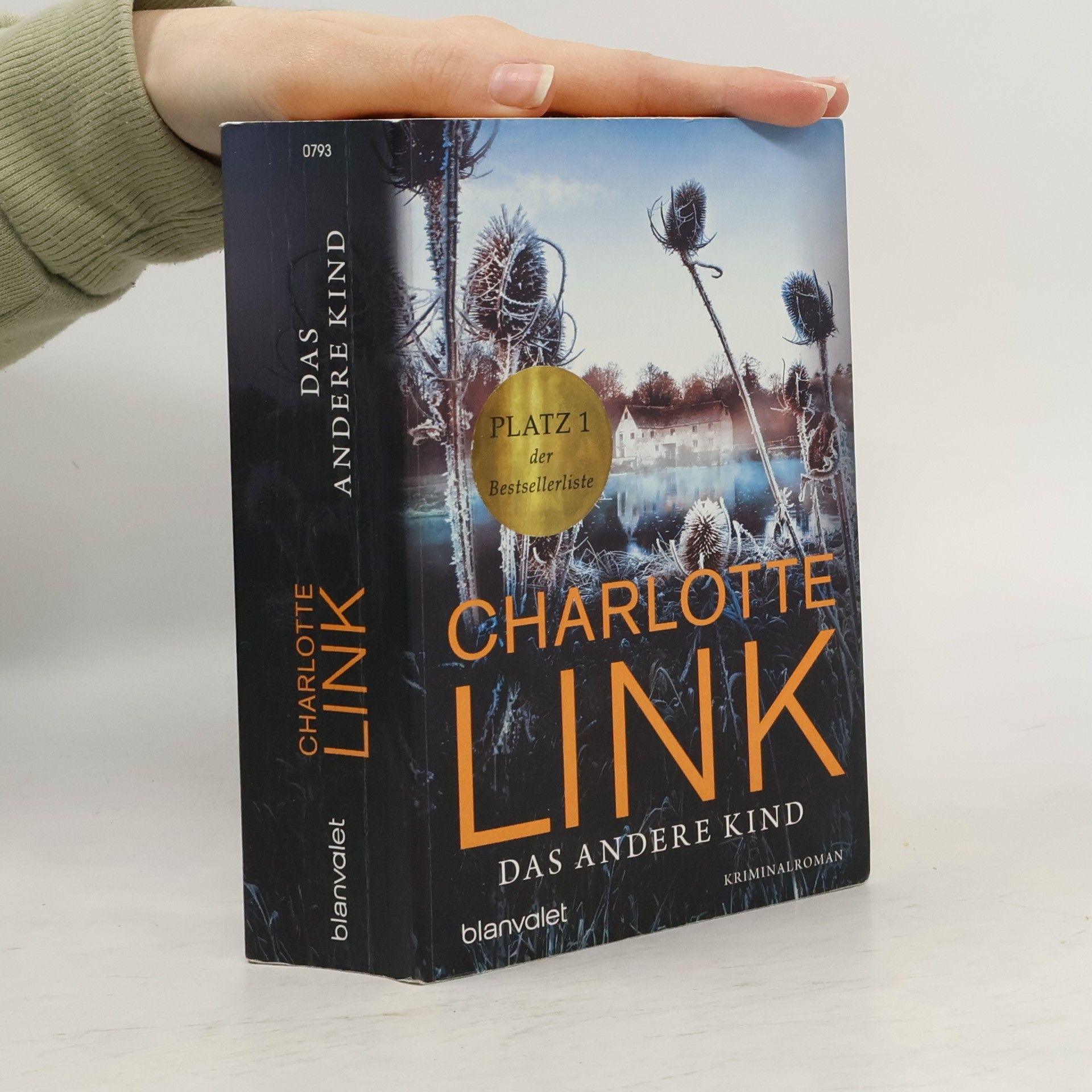 Charlotte Link Das andere Kind