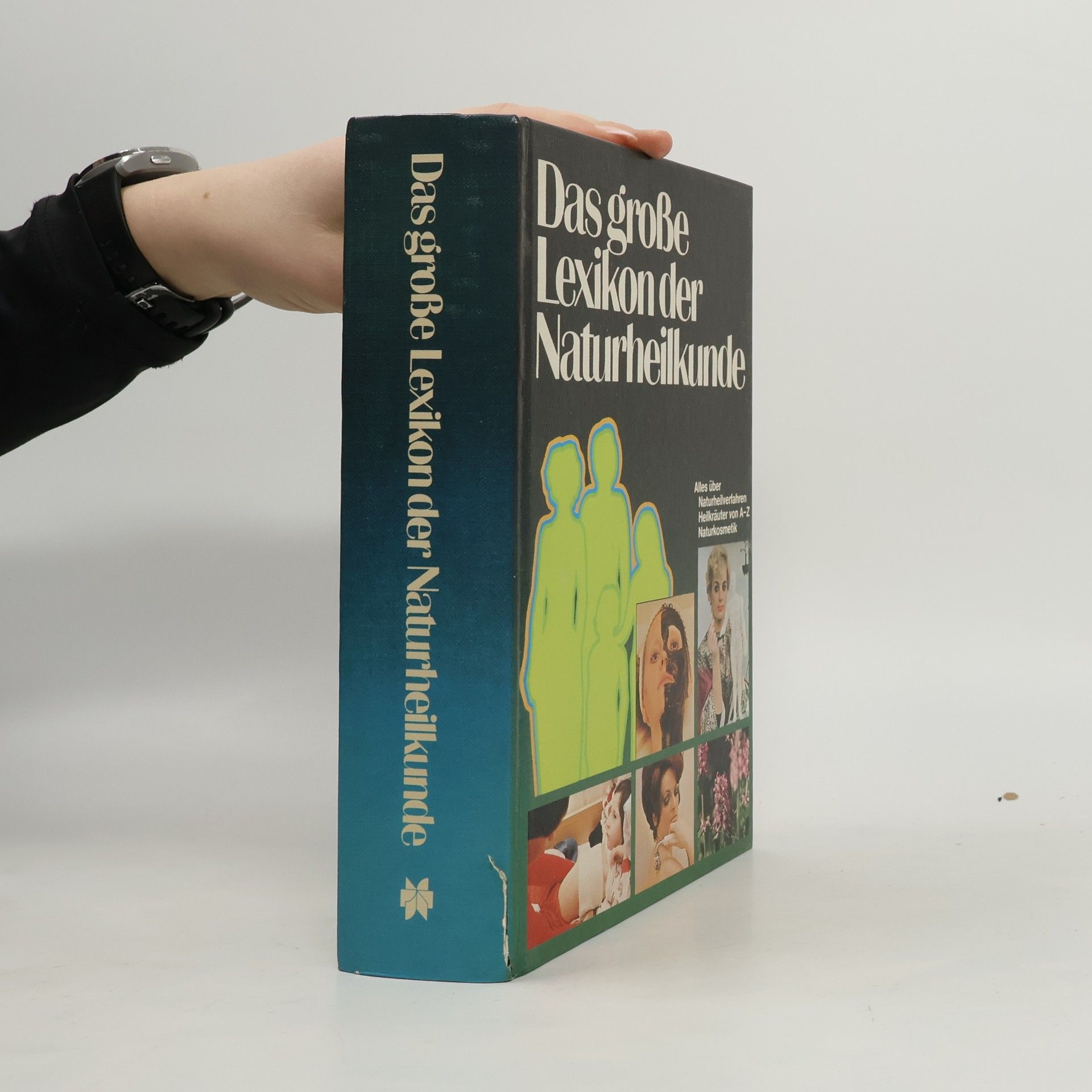 Autorenkollektiv Das große Lexikon der Naturheilkunde