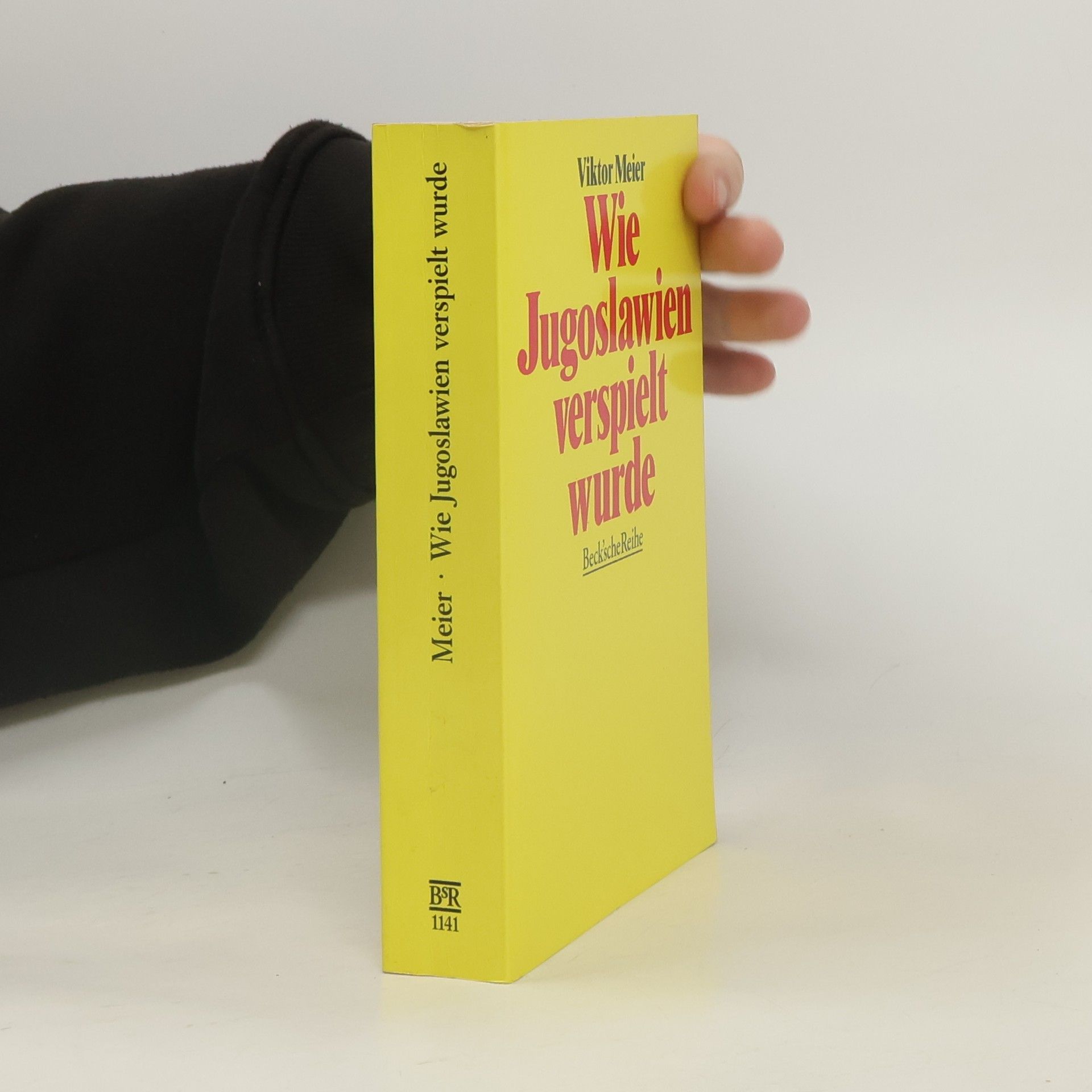 Wie Jugoslawien verspielt wurde