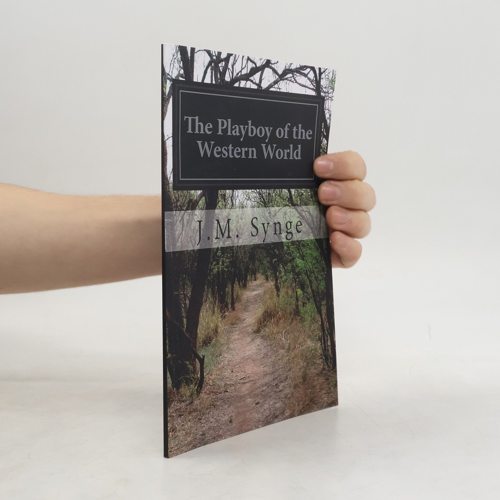 John Millington Synge The Playboy of the Western World