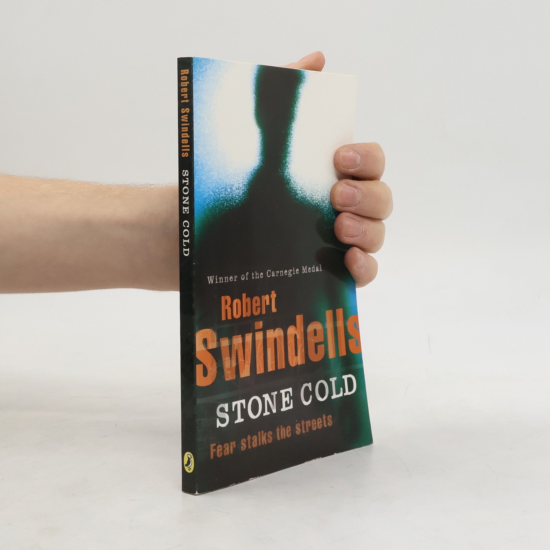 Robert E. Swindells Stone Cold