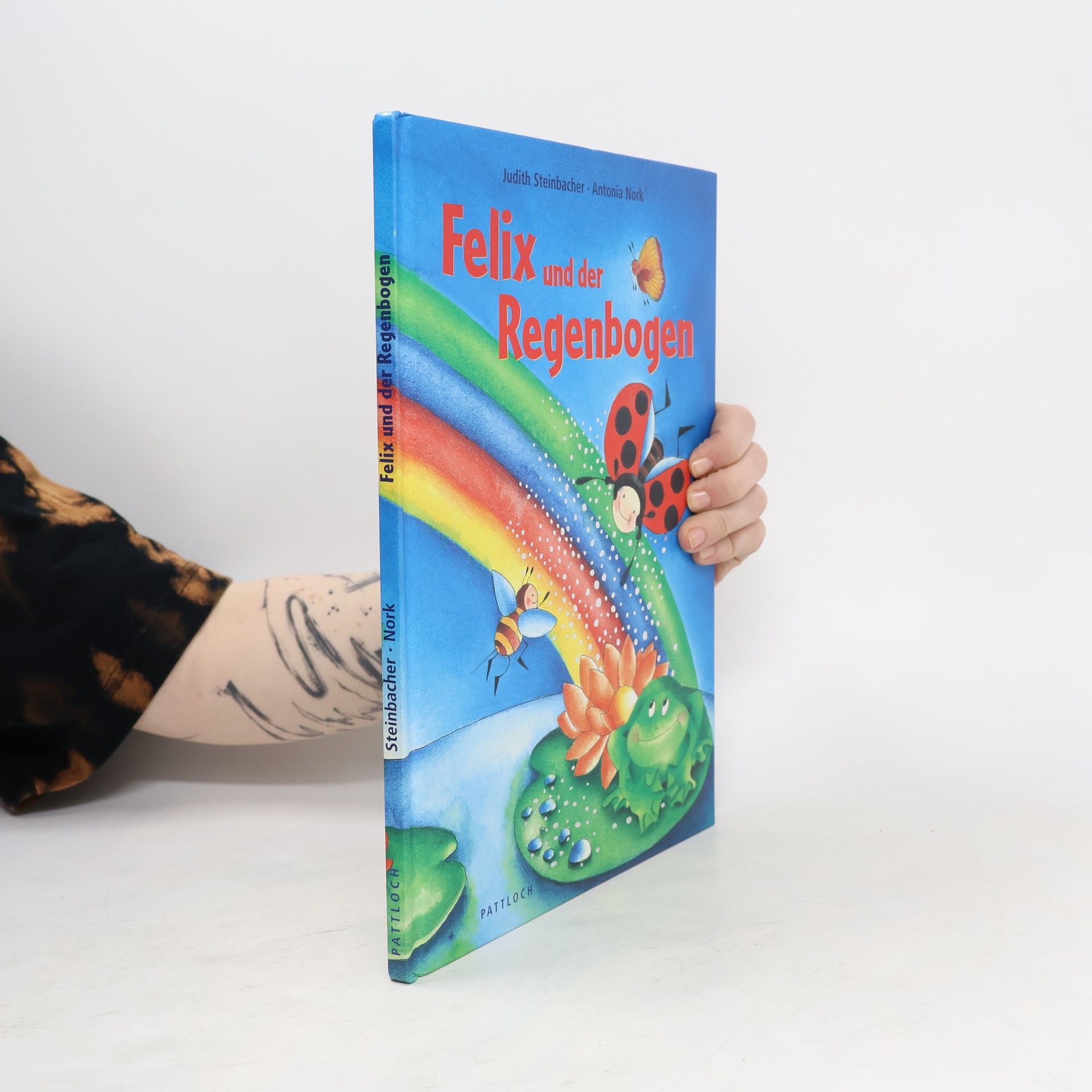 Judith Steinbacher Felix und der Regenbogen