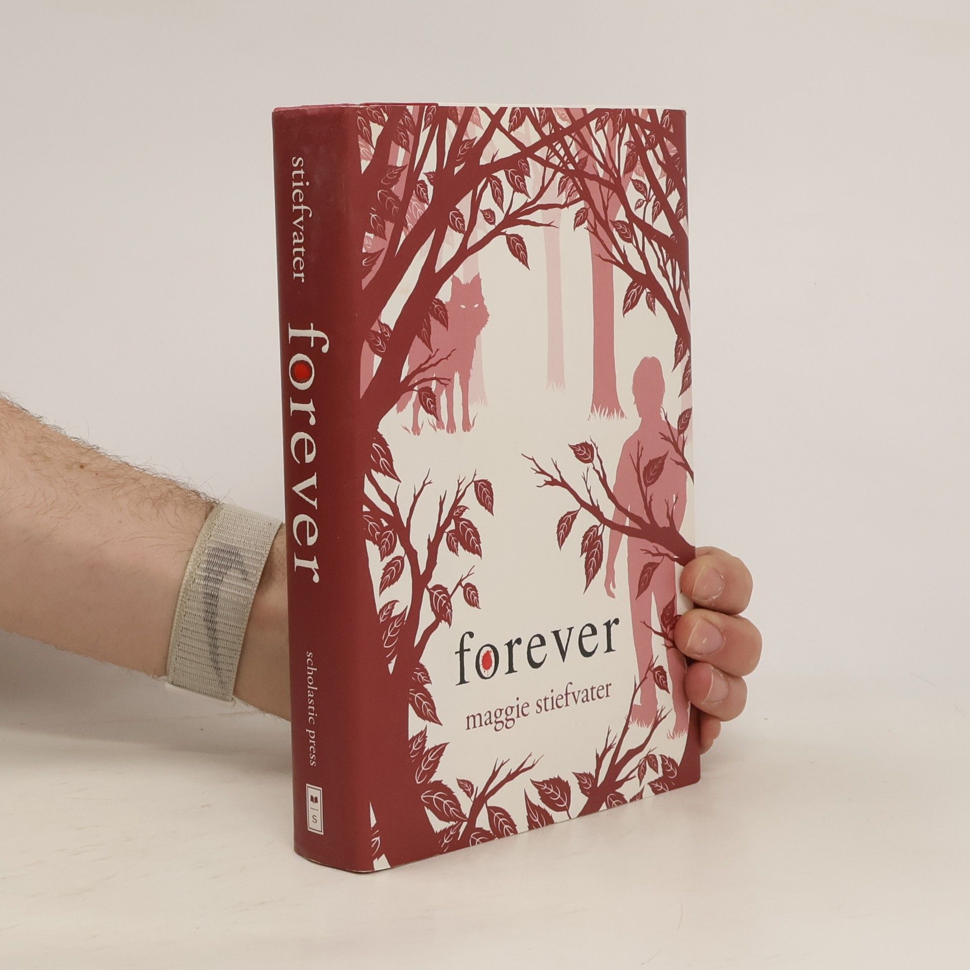 Maggie Stiefvaterová Forever