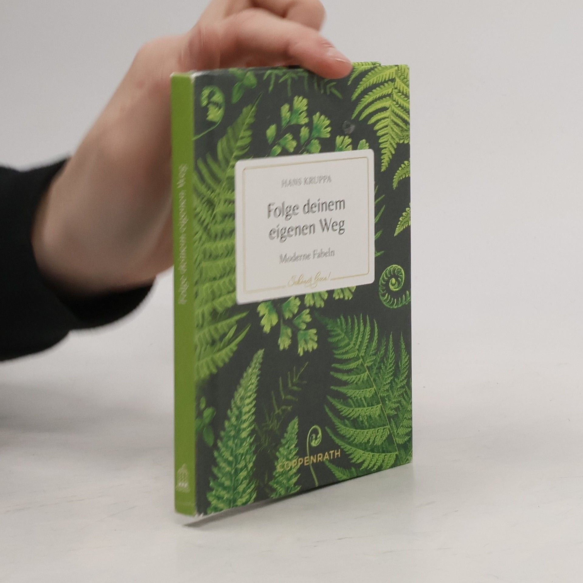 Hans Kruppa Folge deinem eigenen Weg. Moderne Fabeln