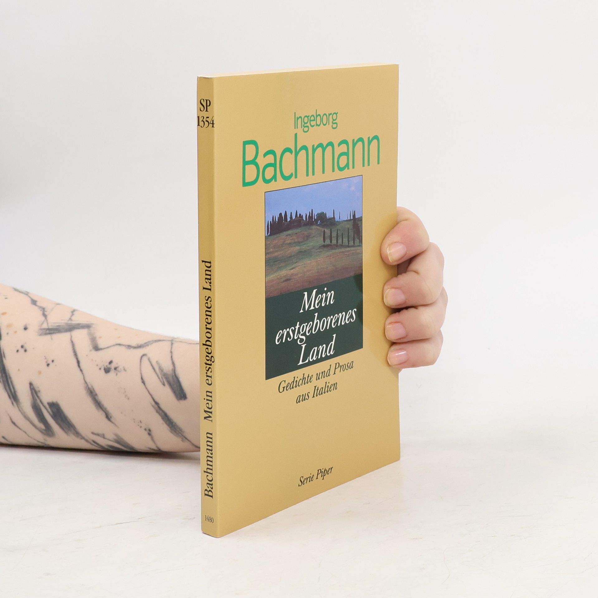 Ingeborg Bachmann Mein erstgeborenes Land. Gedichte und Prosa aus Italien