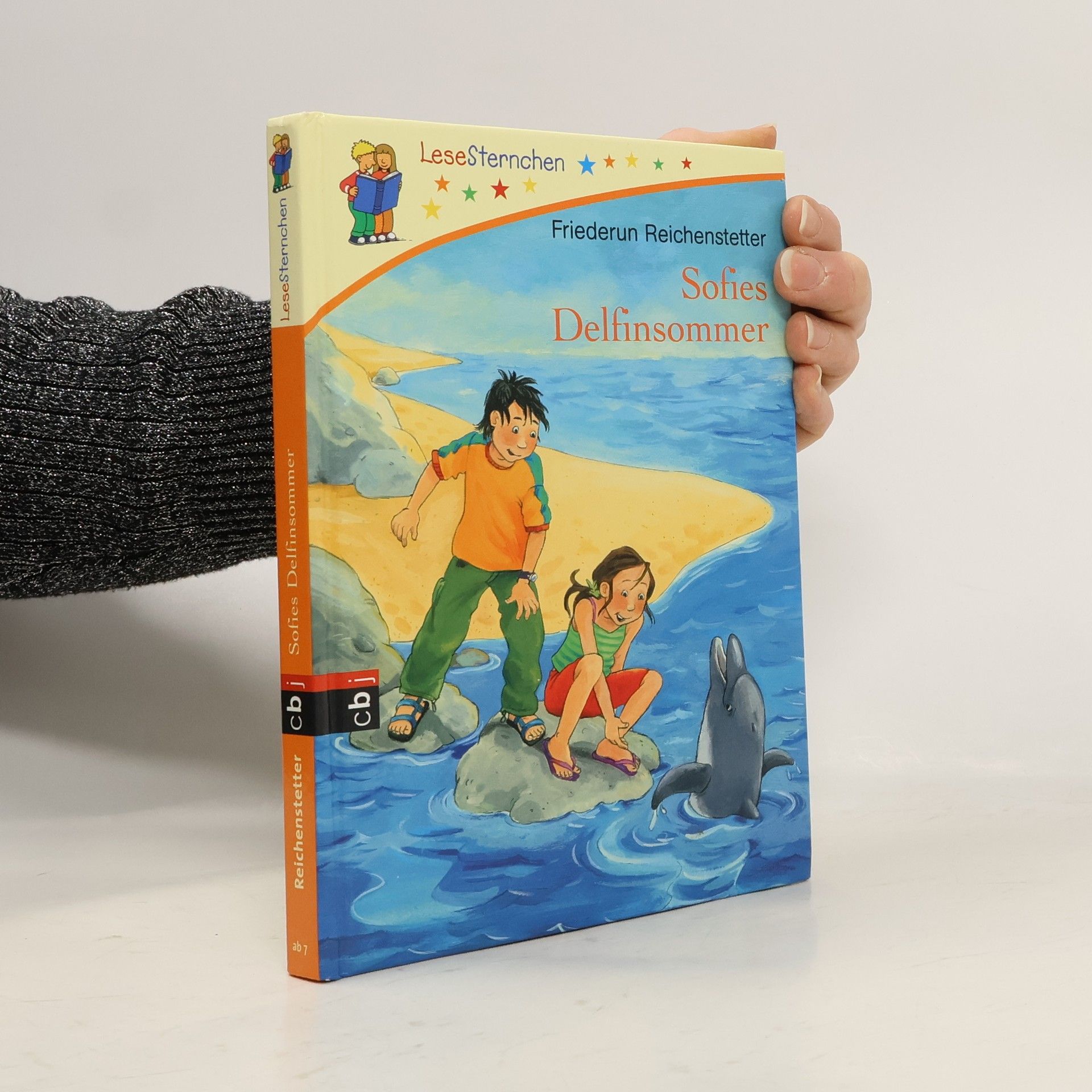 Friederun Reichenstetter Sofies Delfinsommer