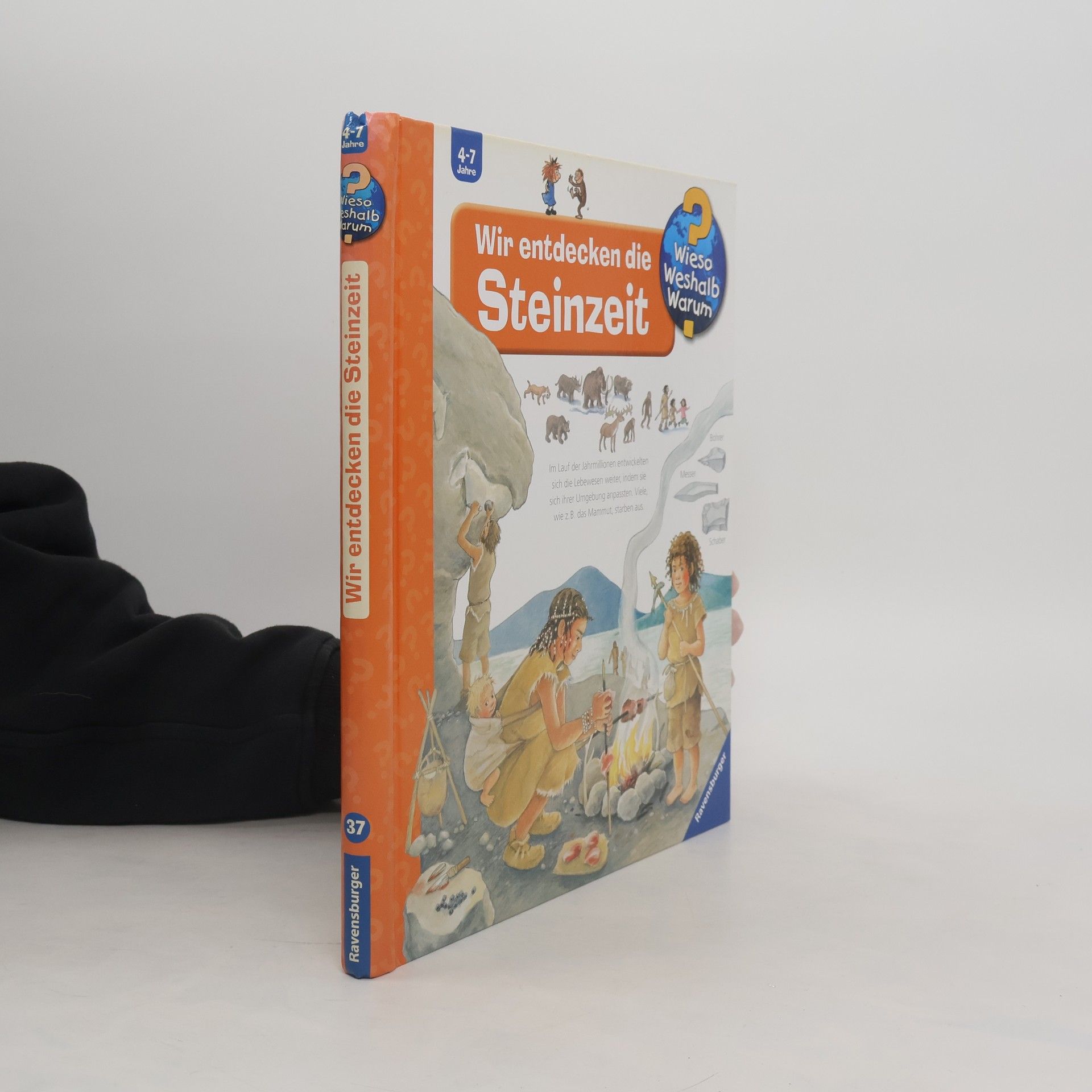 Doris Rübel Wir entdecken die Steinzeit