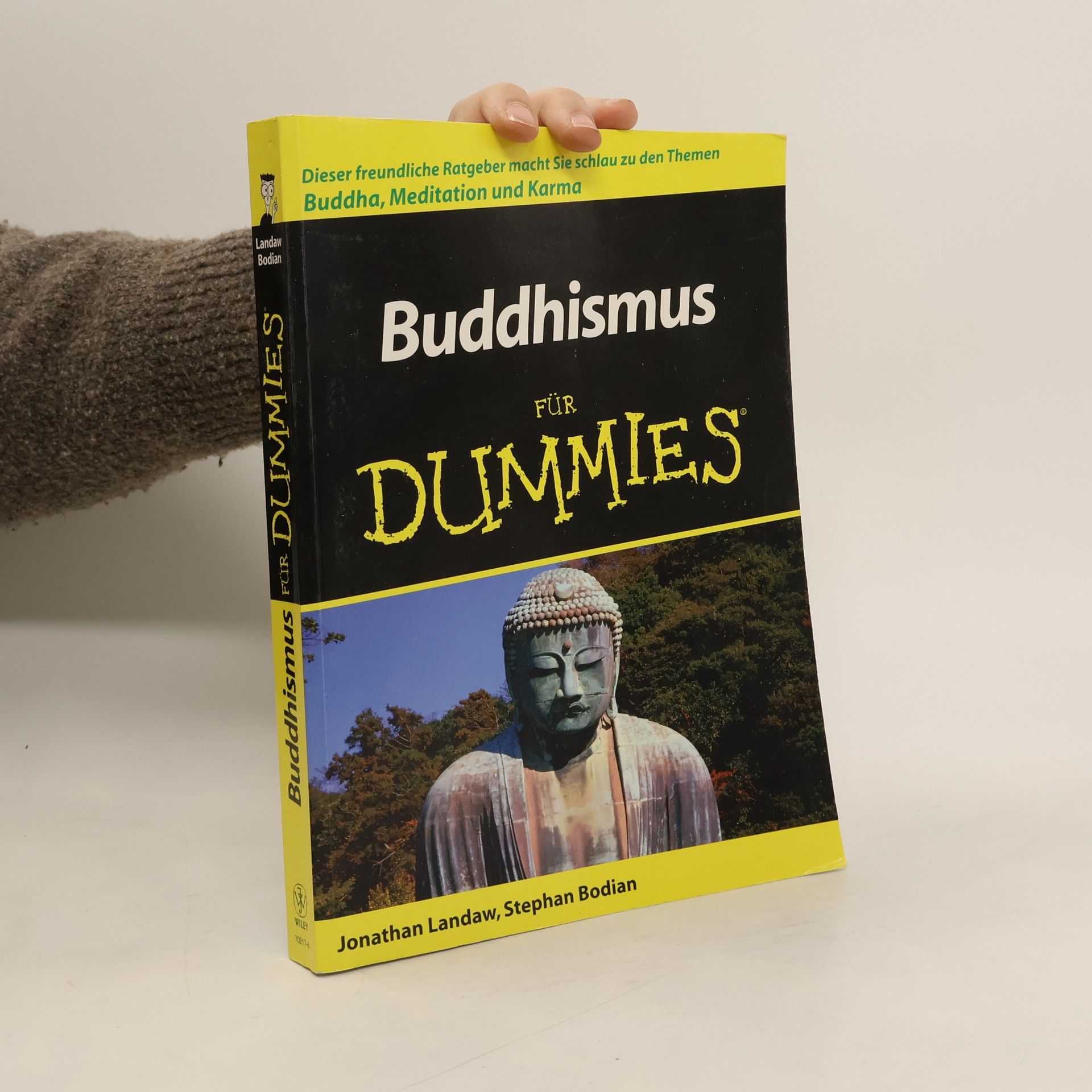 Jonathan Landaw Buddhismus für Dummies