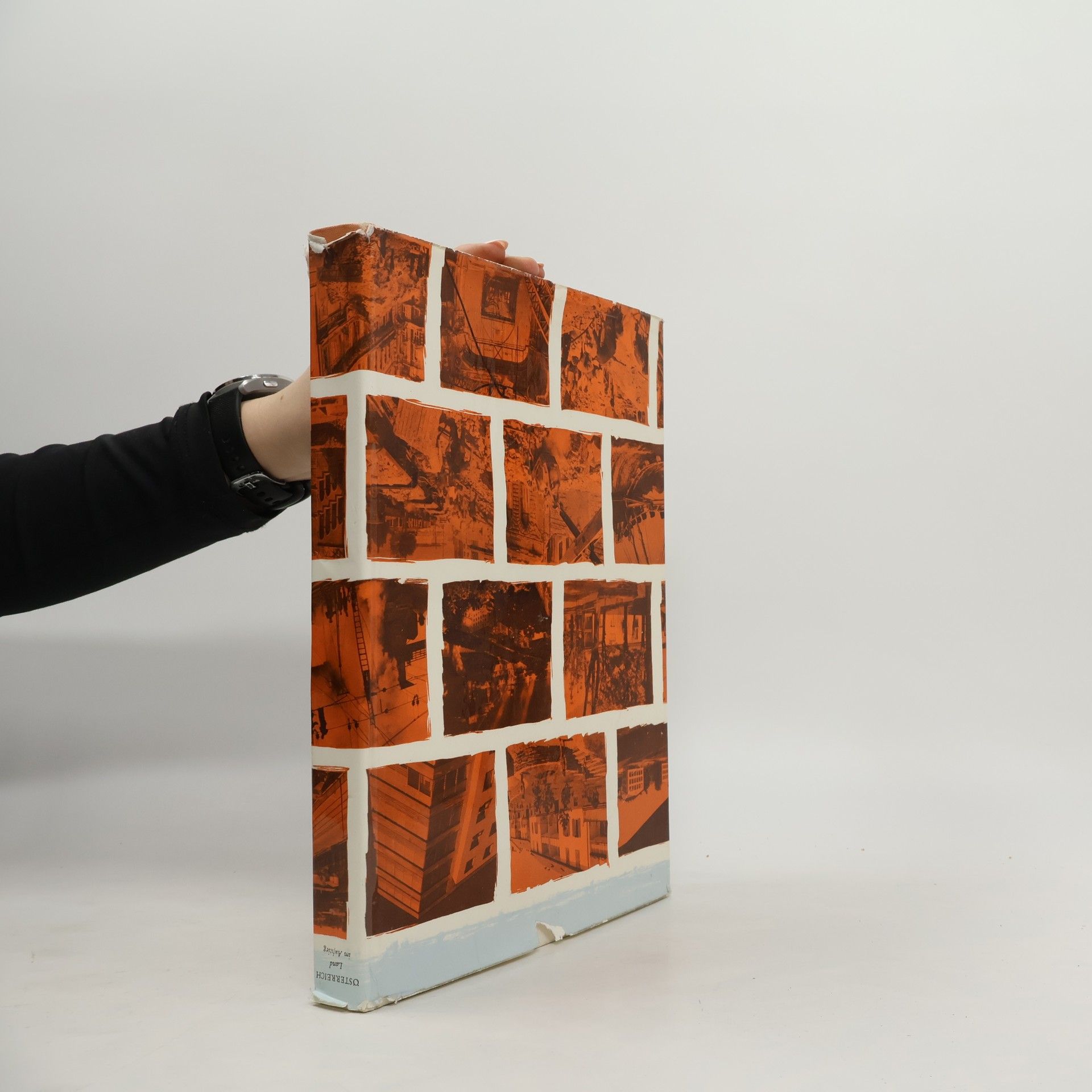 August Makart Österreich. Land im Aufstieg