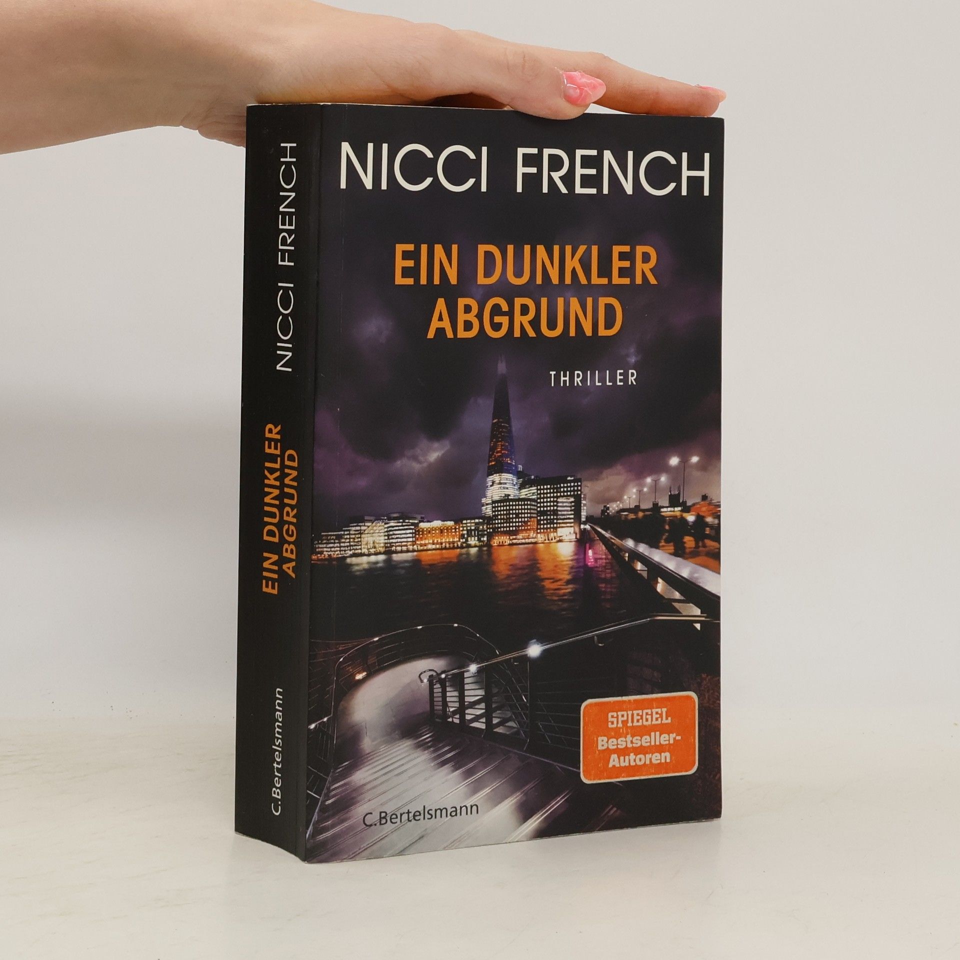 Nicci French Ein dunkler Abgrund