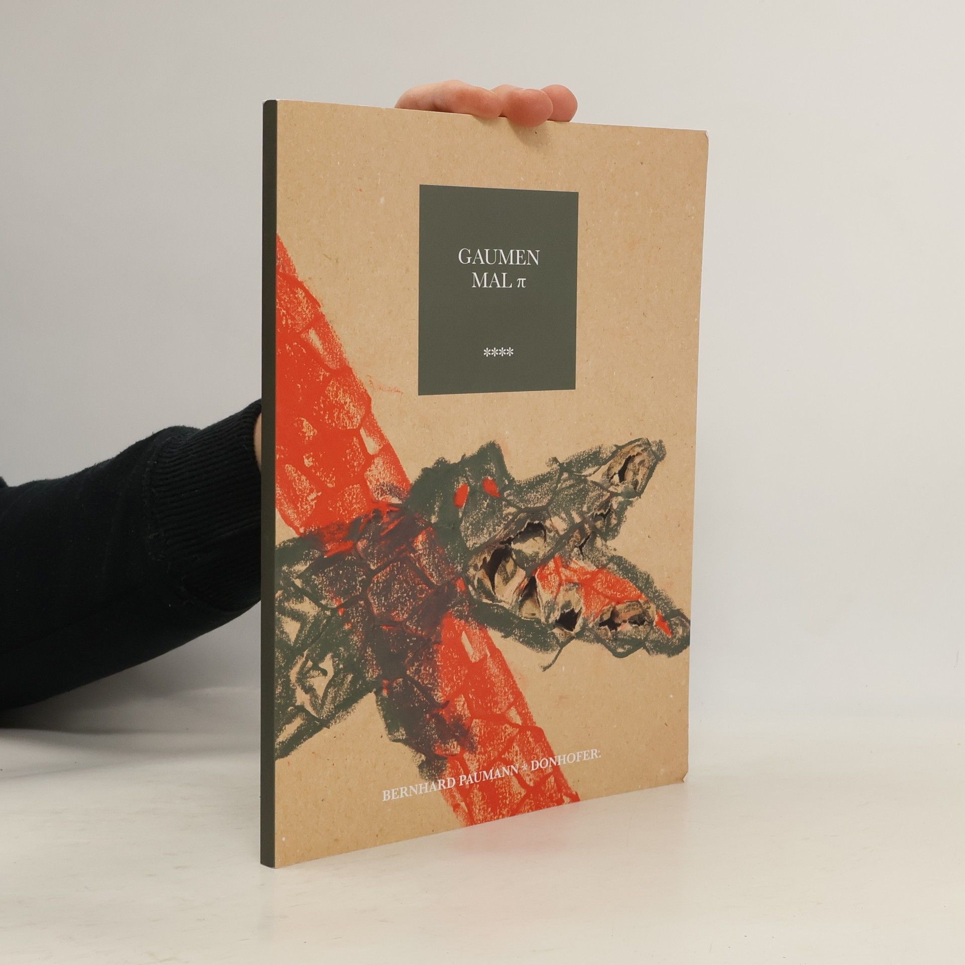 Autorenkollektiv Gaumen mal π