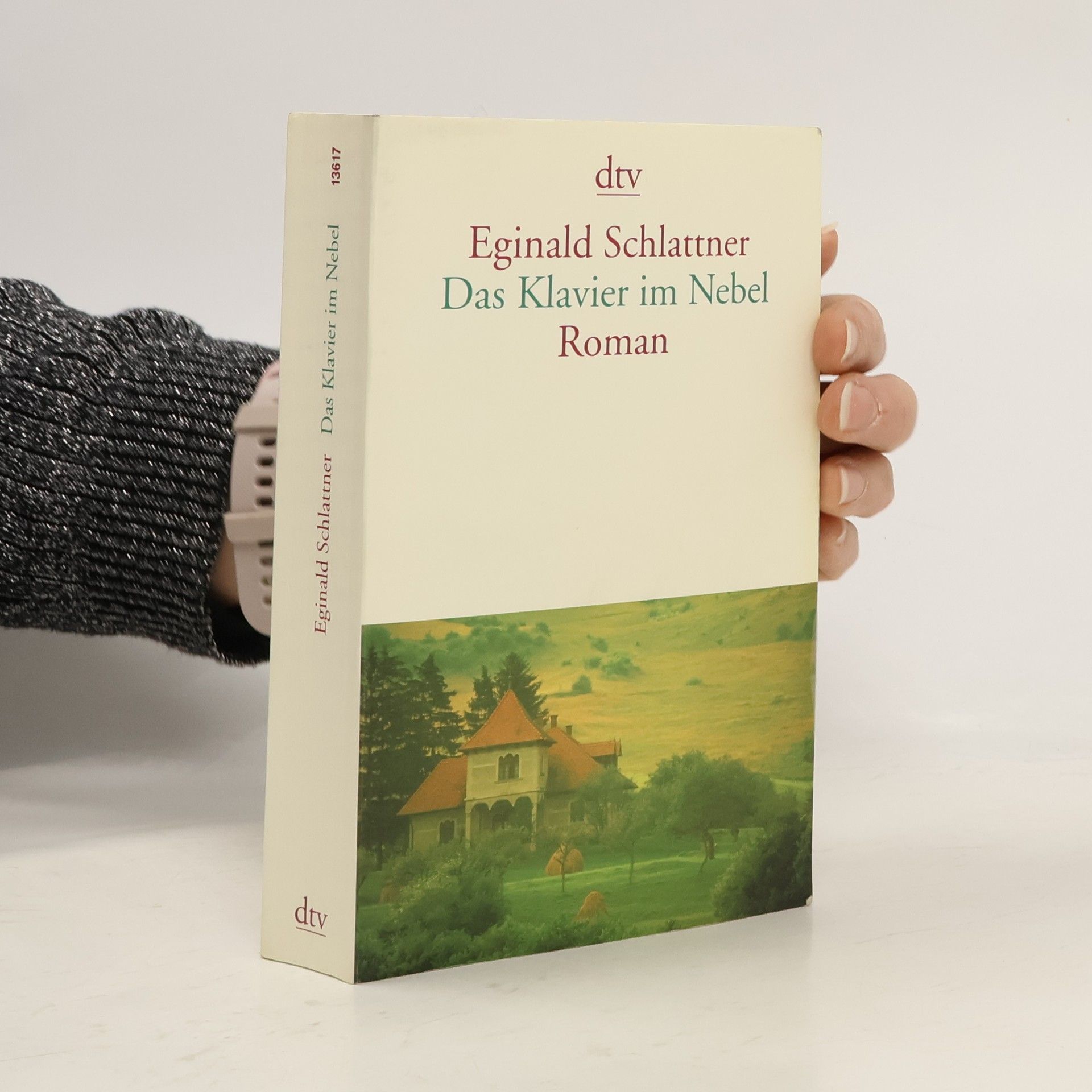 Eginald Schlattner Das Klavier im Nebel