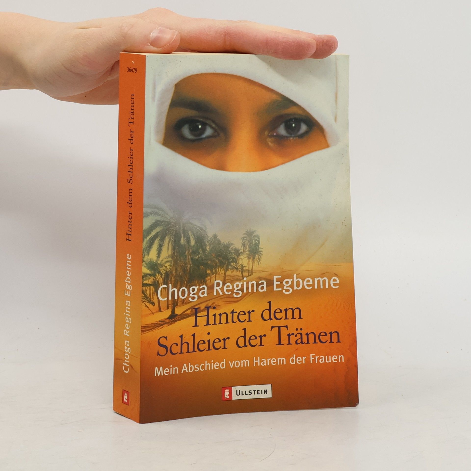 Choga Regina Egbeme Hinter dem Schleier der Tränen