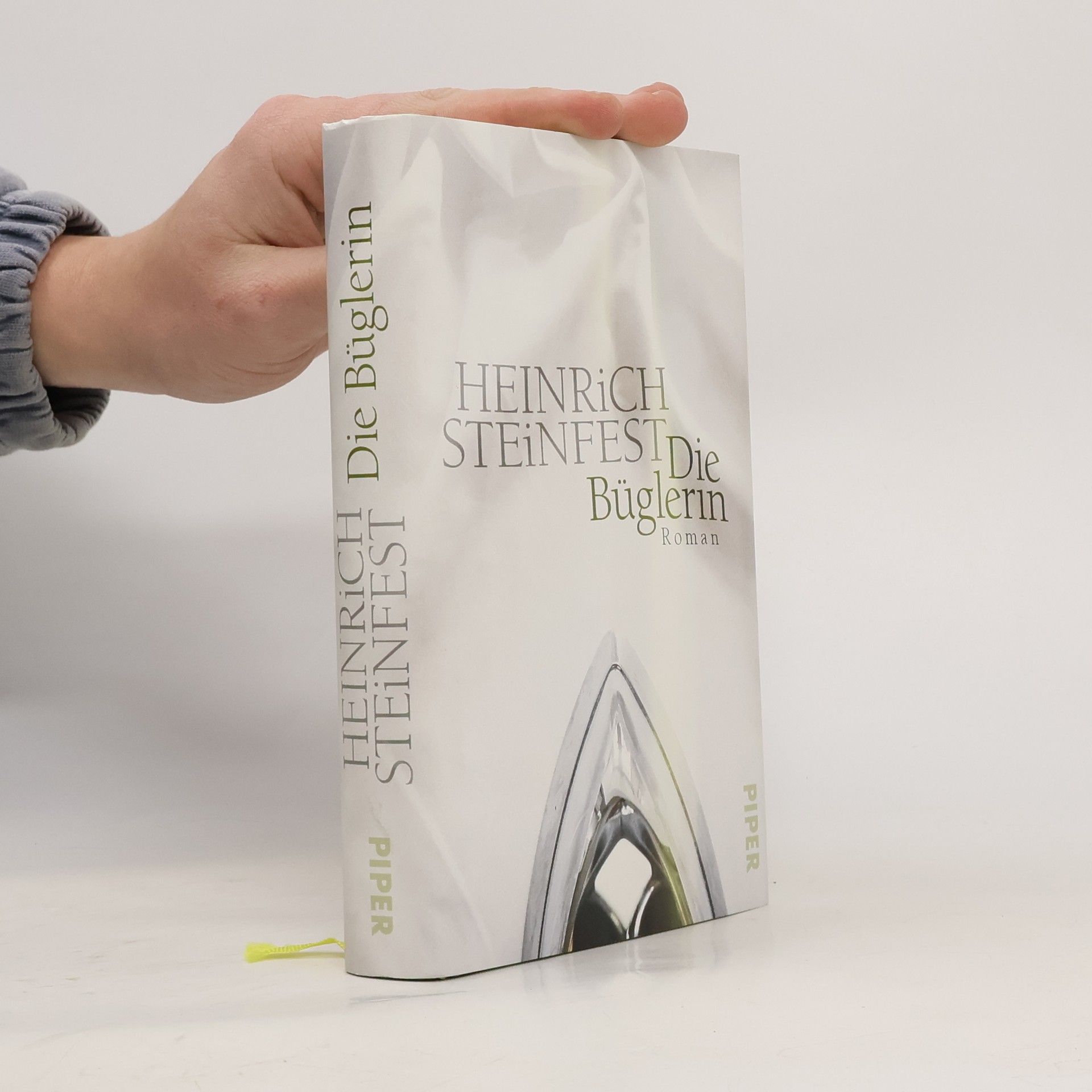 Heinrich Steinfest Die Büglerin