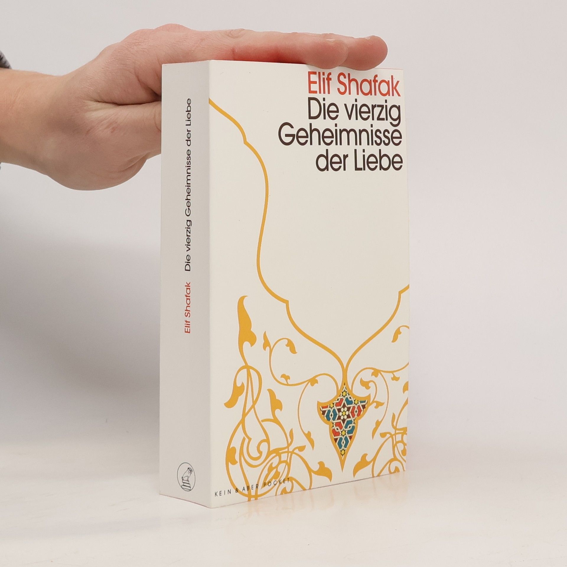 Elif Shafak Die vierzig Geheimnisse der Liebe