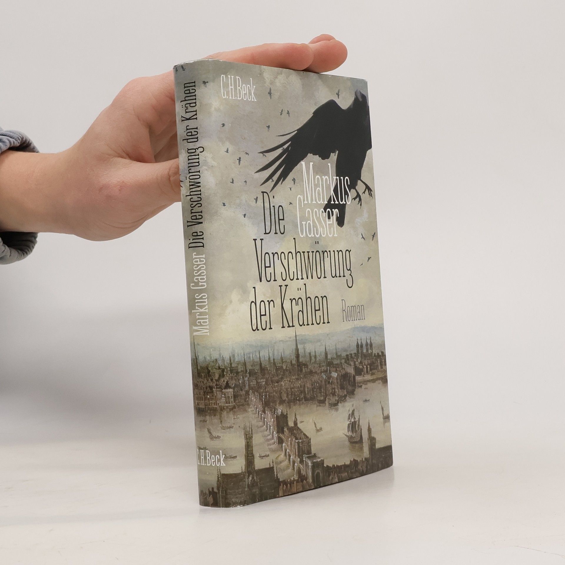 Markus Gasser Die Verschwörung der Krähen