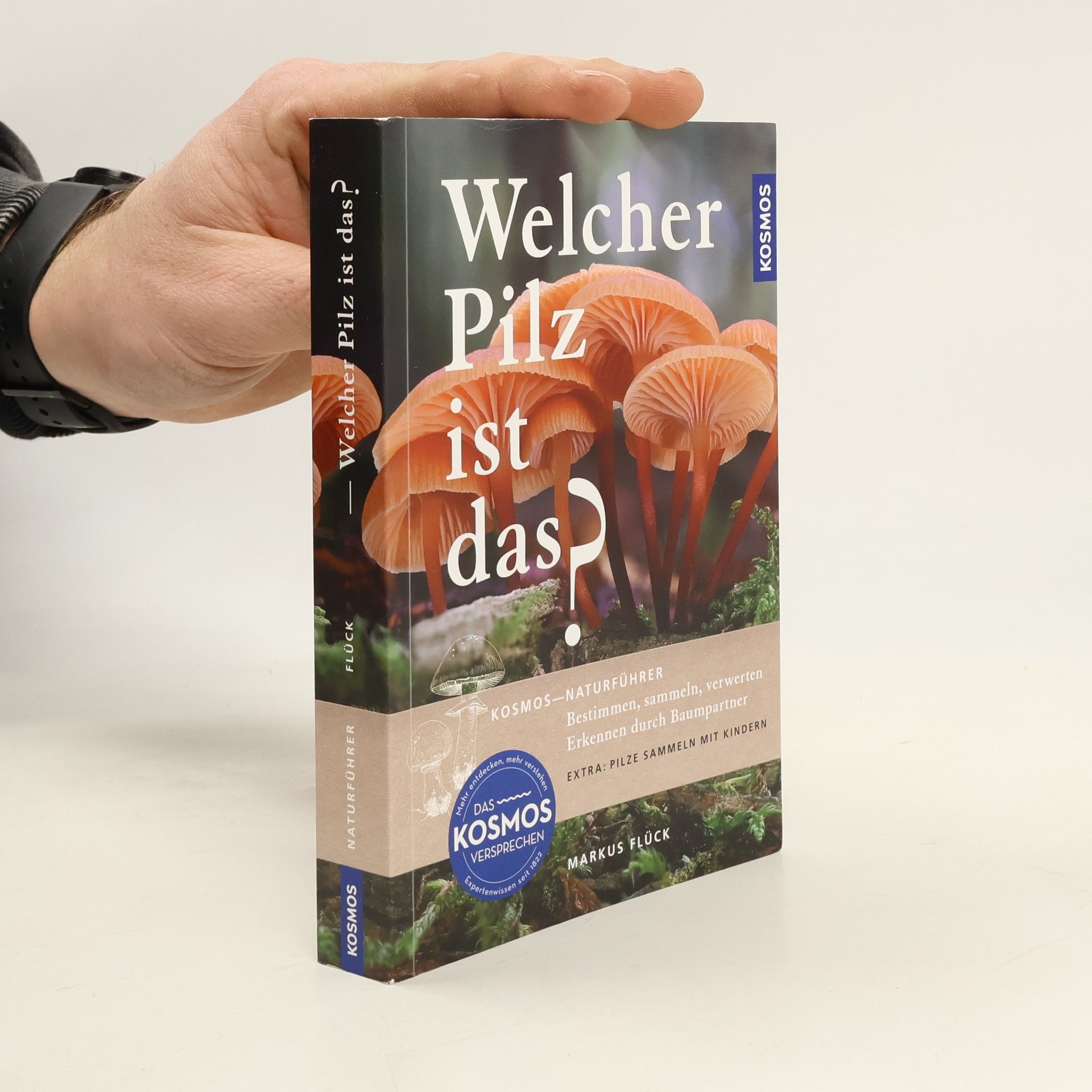 Welcher Pilz ist das?