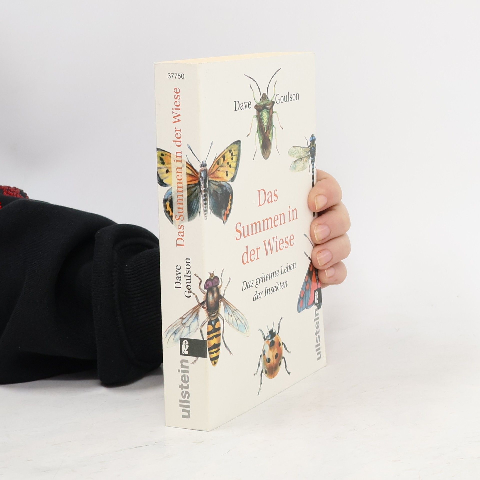 Das Summen in der Wiese