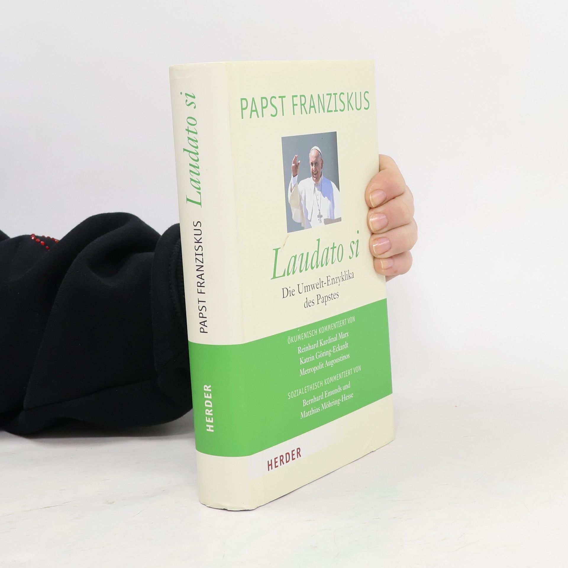 Papež František Laudato si - Die Umwelt-Enzyklika des Papstes