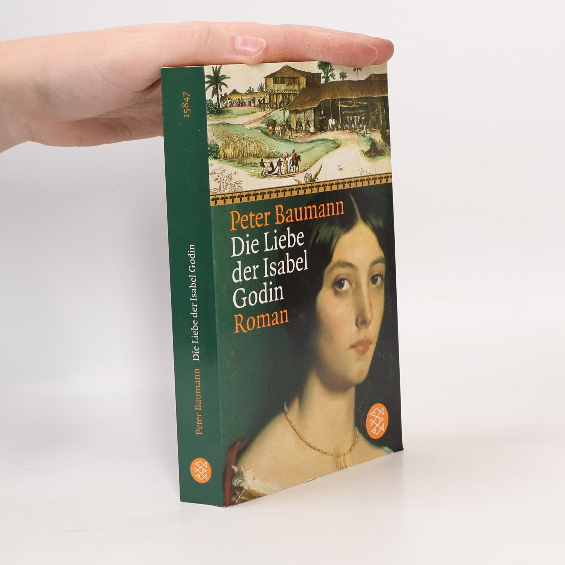 Peter Baumann Die Liebe der Isabel Godin