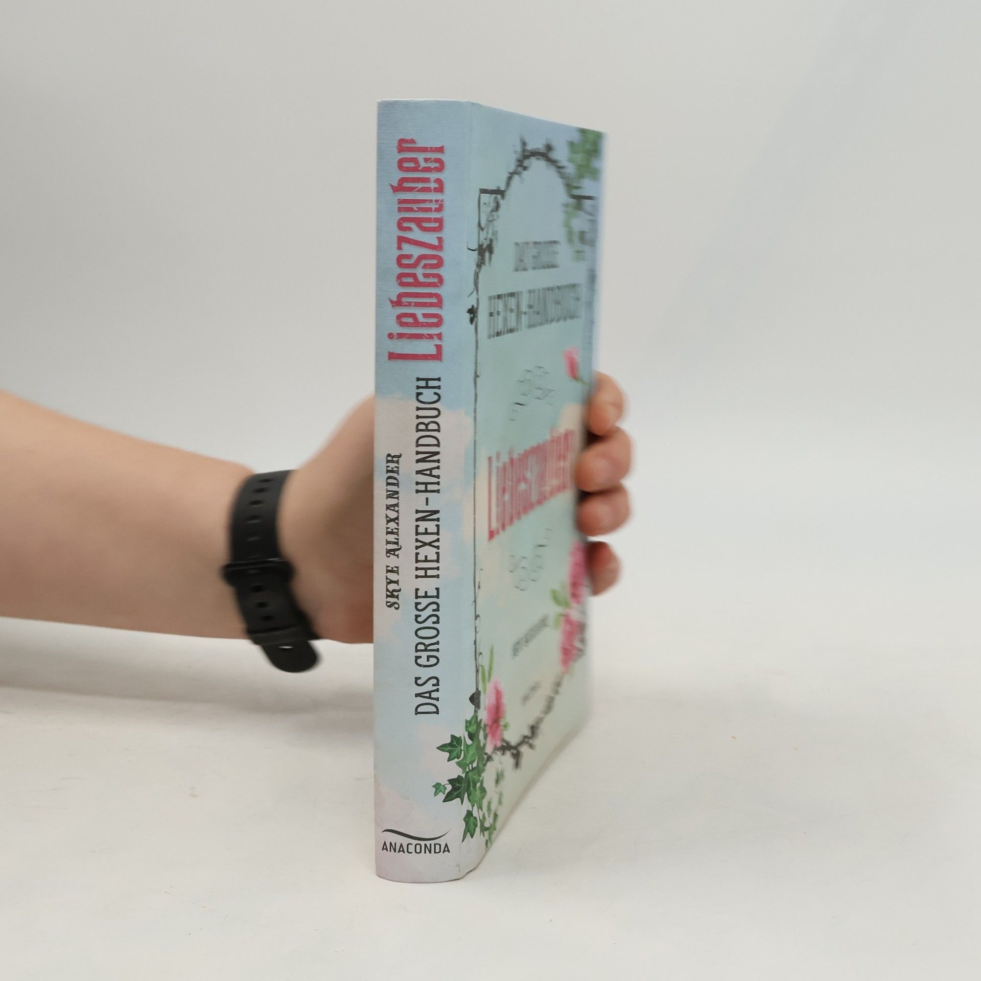 Skye Alexander Das große Hexen-Handbuch