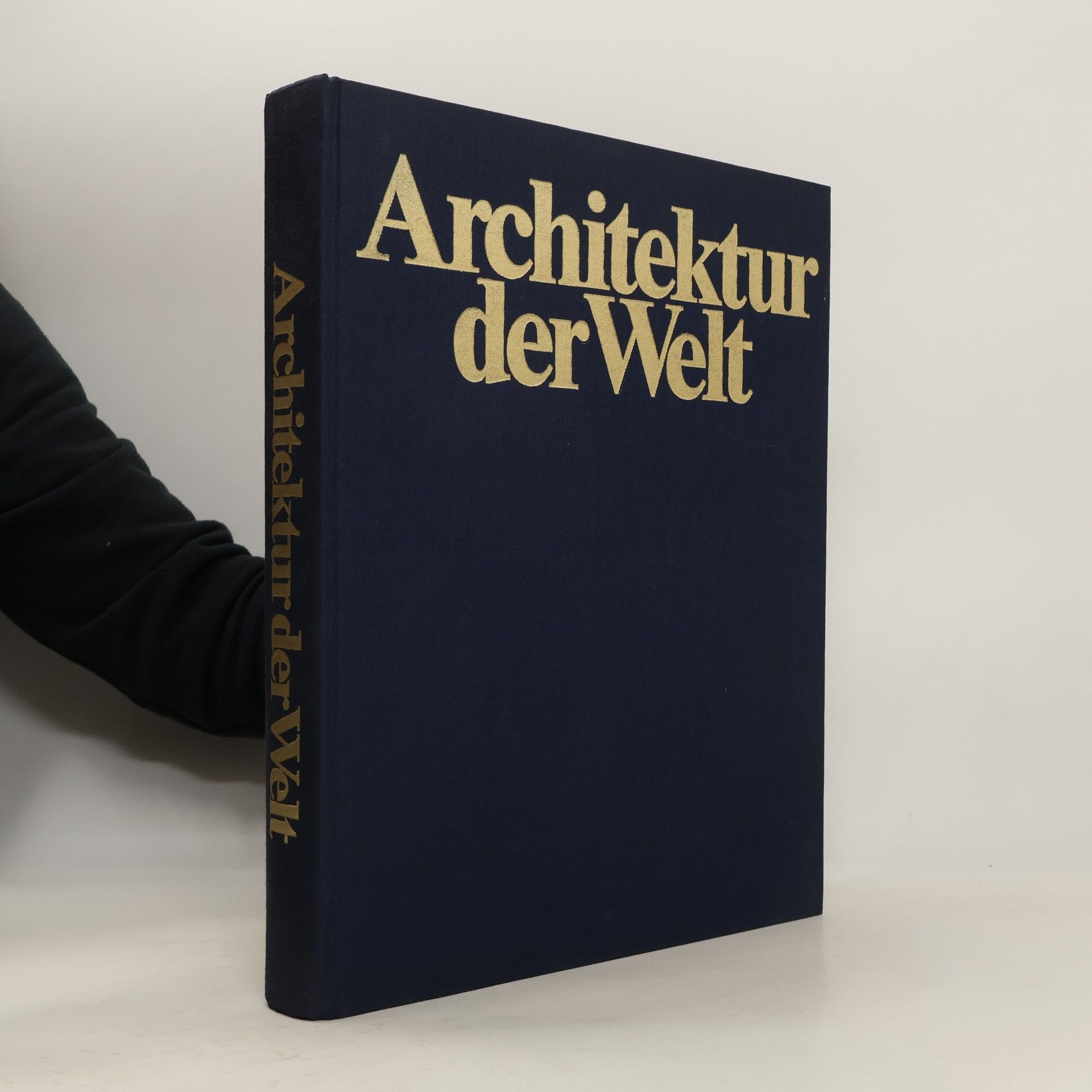Kolektiv autorů Architektur der Welt