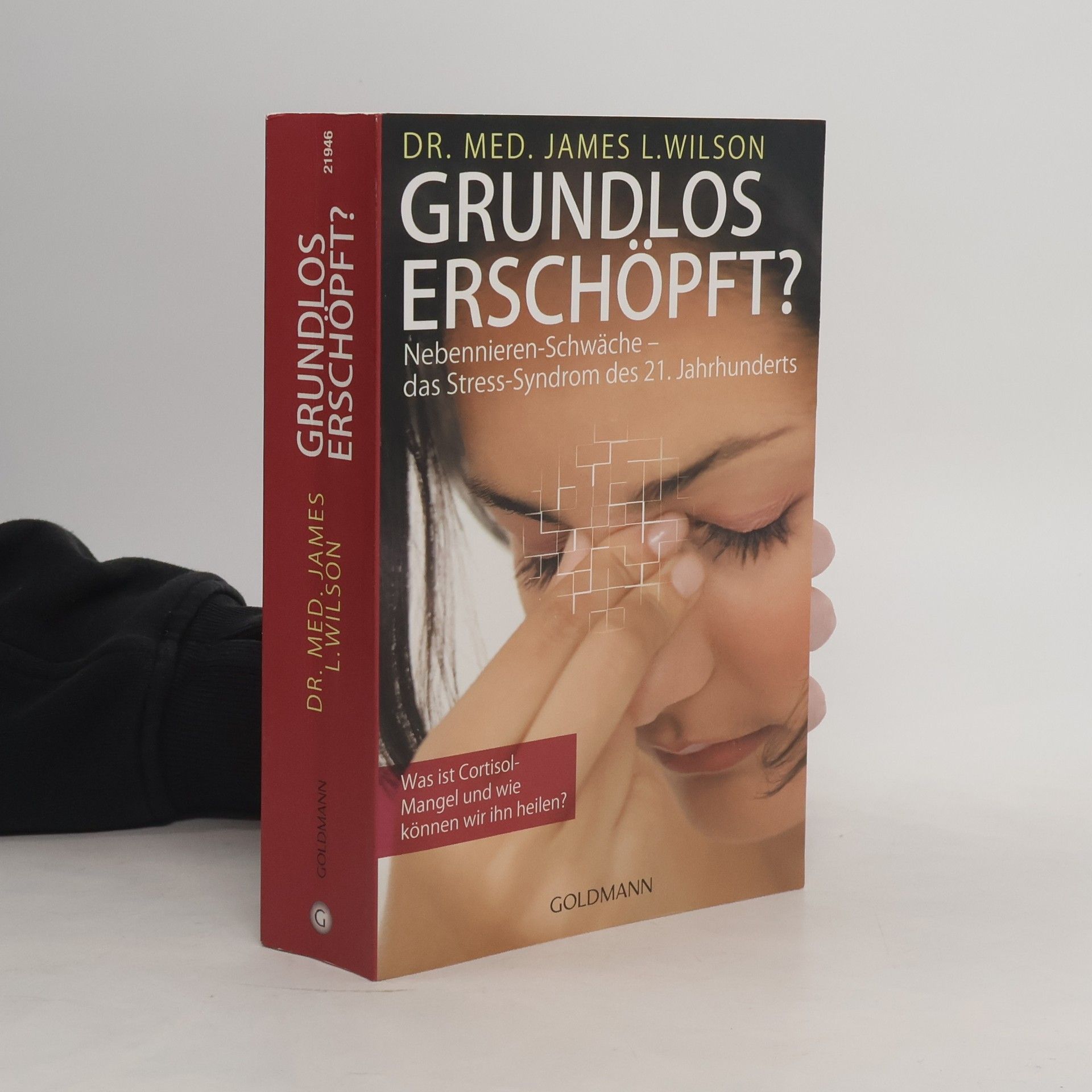 James Lee Wilson Grundlos erschöpft?. Nebennieren-Insuffizienz - das Stress-Syndrom des 21. Jahrhunderts