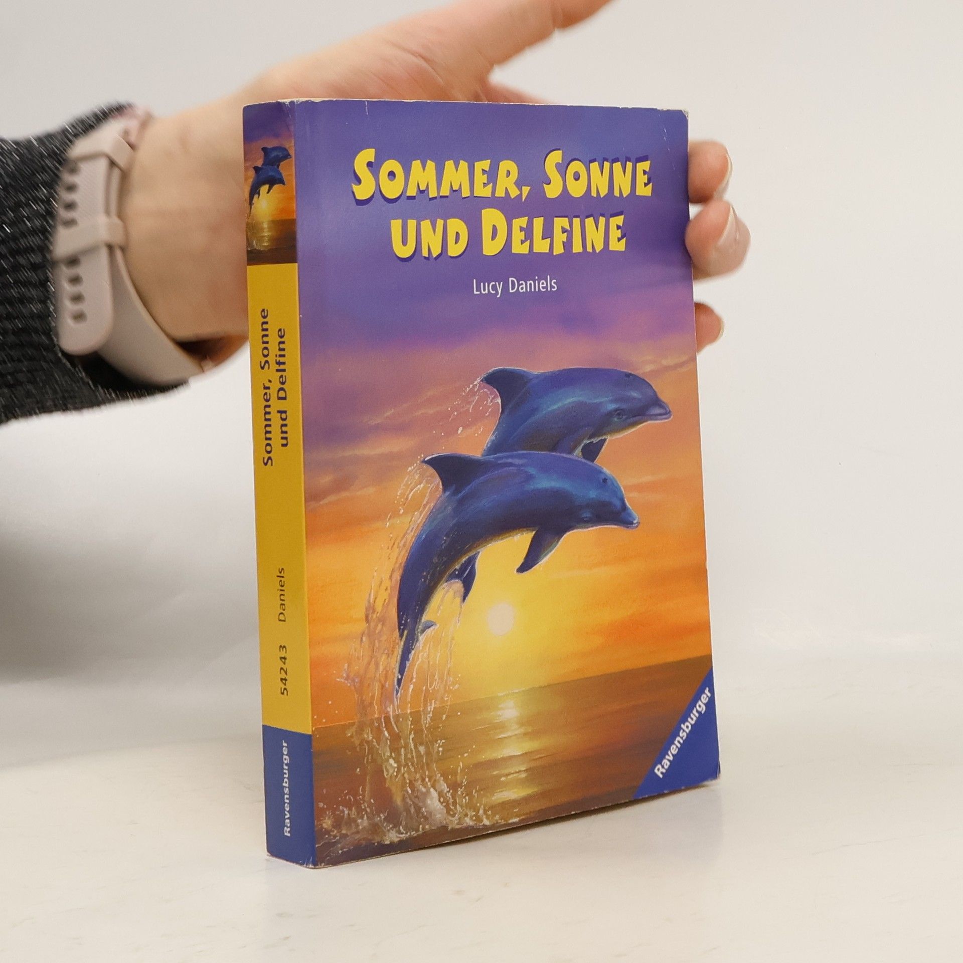 Sommer, Sonne und Delfine