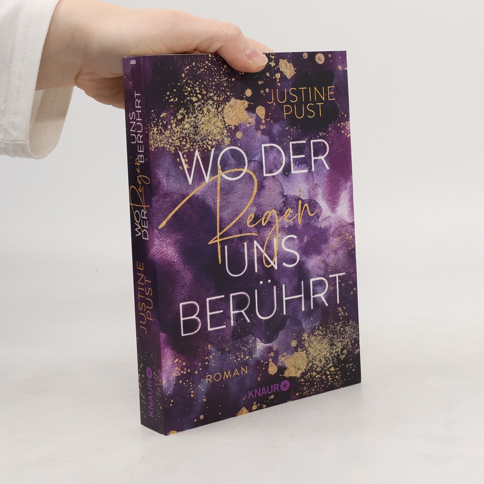 Justine Pust Wo der Regen uns berührt / Die Skyline-Reihe Bd.2