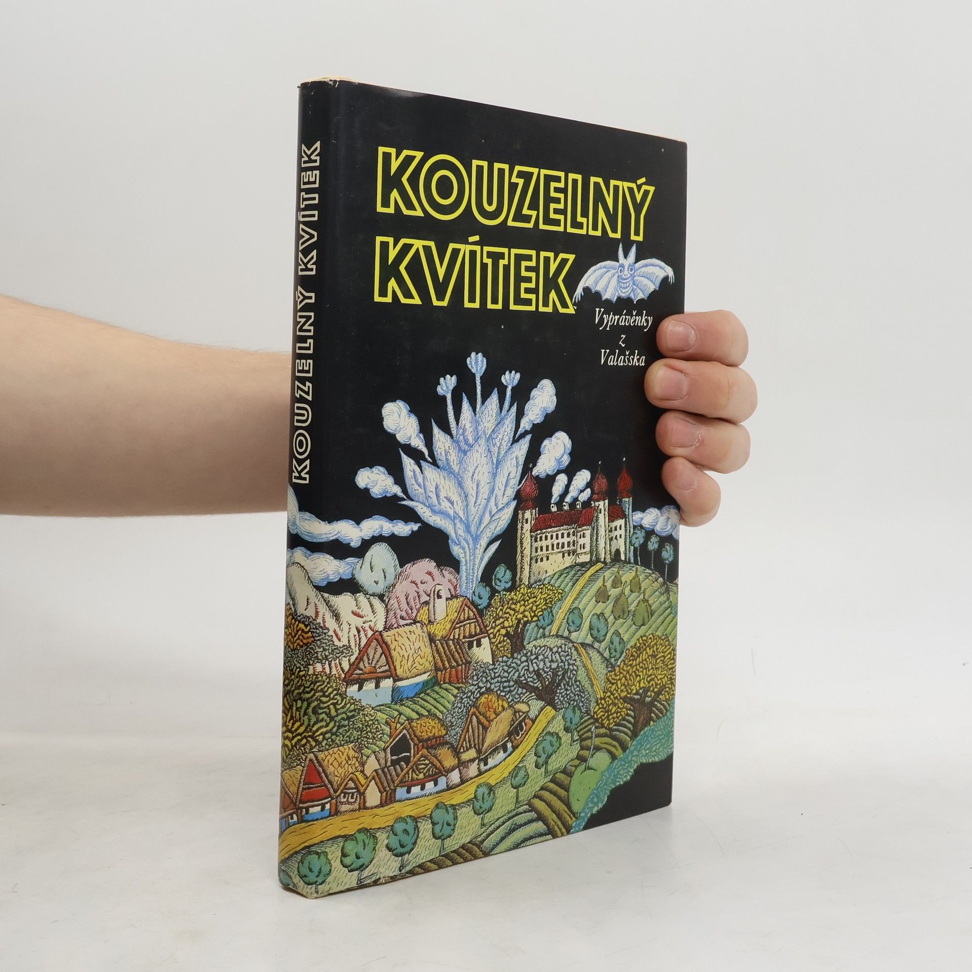 Václav Houf Kouzelný kvítek. Vyprávěnky z Valašska