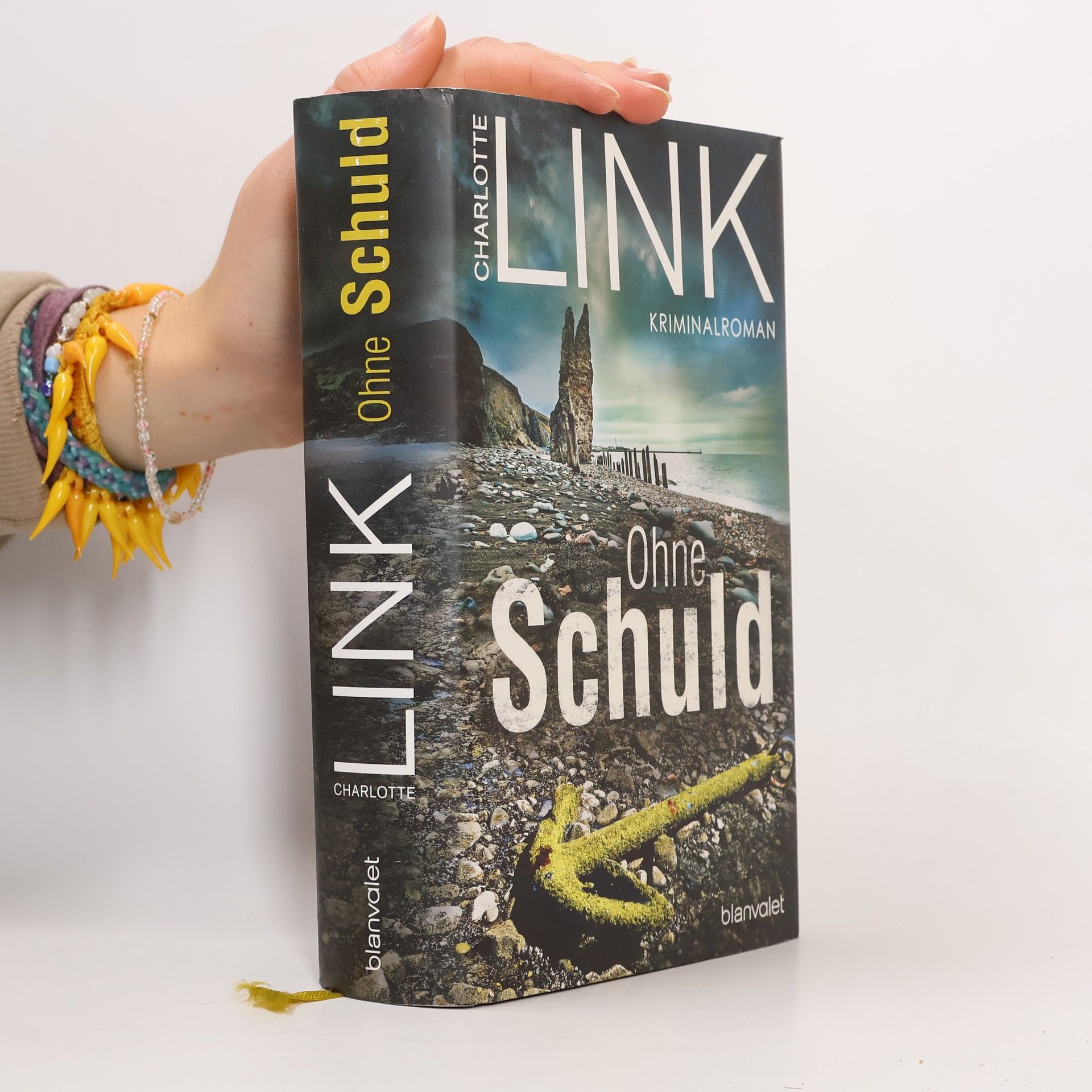 Charlotte Link Ohne Schuld