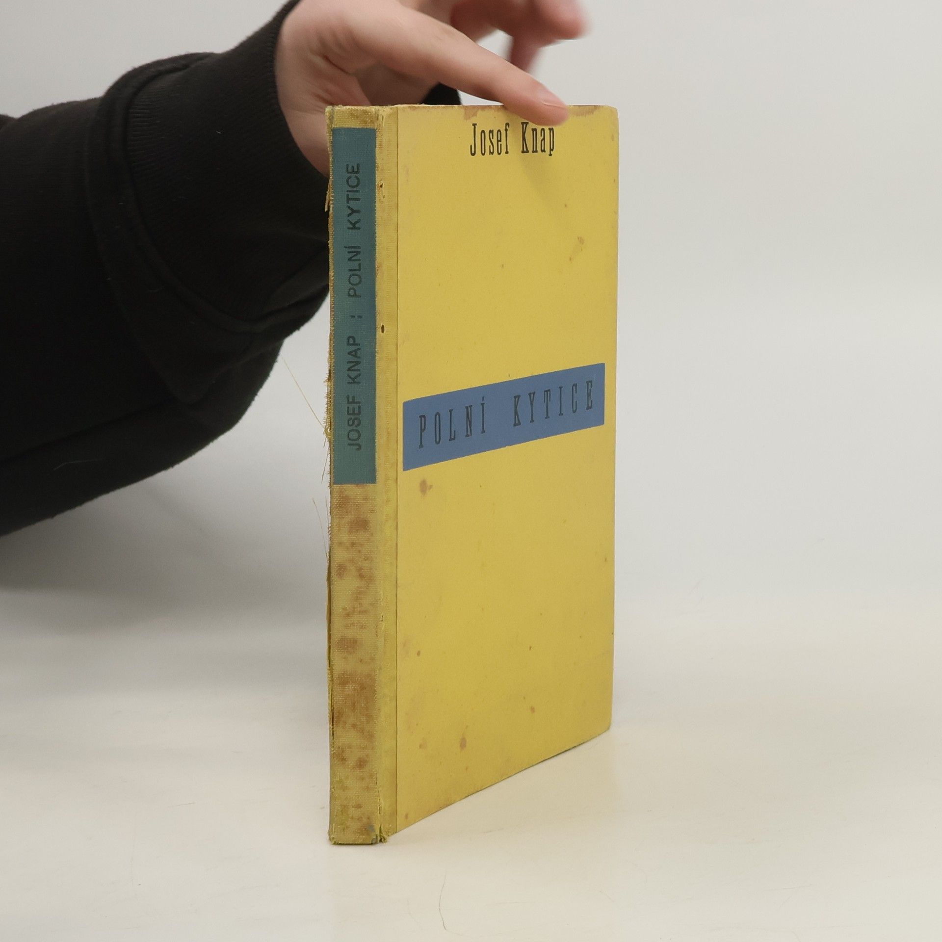 Josef Knap Polní kytice