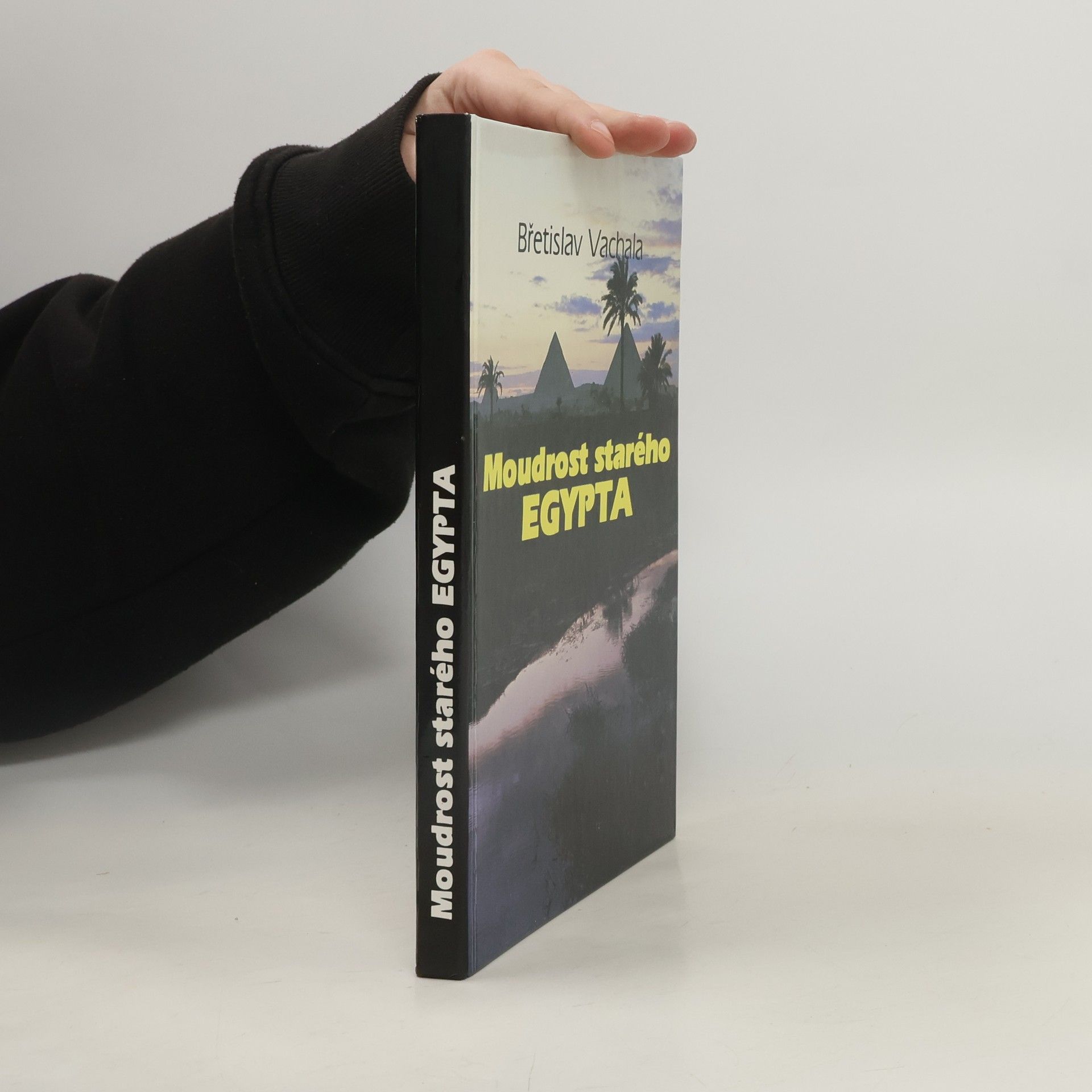 Břetislav Vachala Moudrost starého Egypta