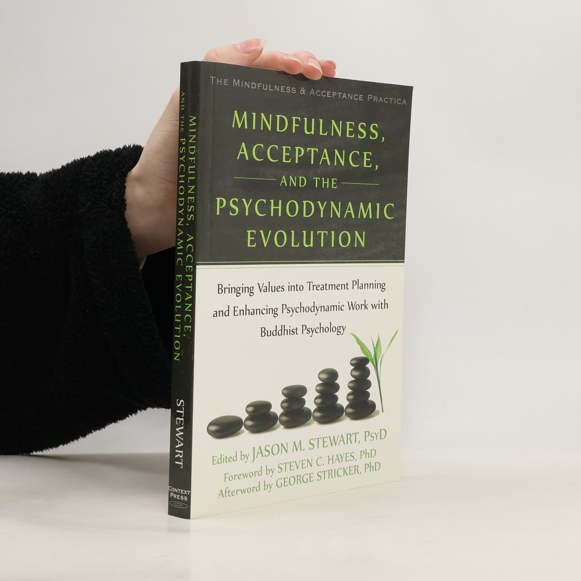 Jason M. Stewart The Mindfulness & Acceptance Practica: Mindfulness, Acceptance, and the Psychodynamic Evolution