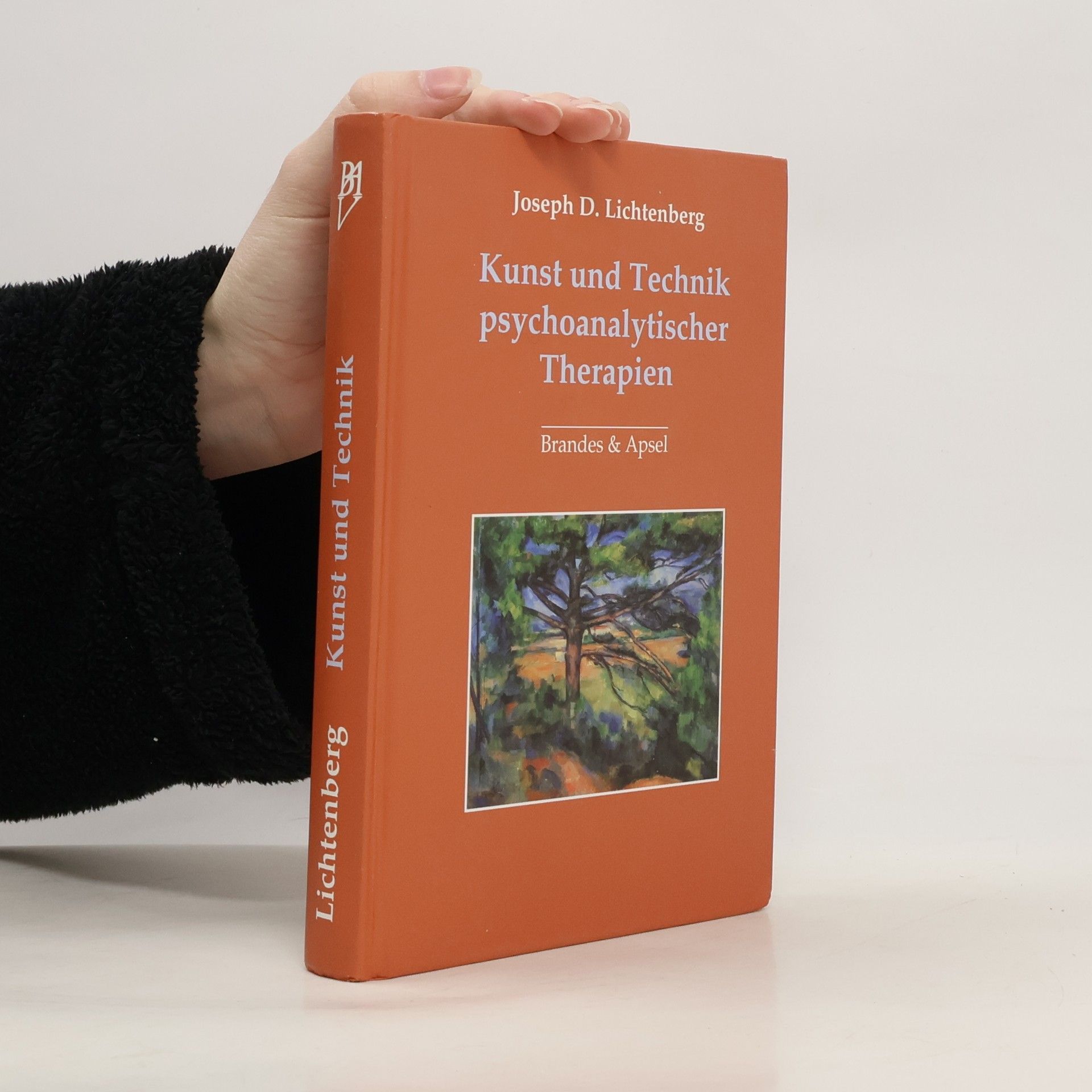 Kunst und Technik psychoanalytischer Therapien