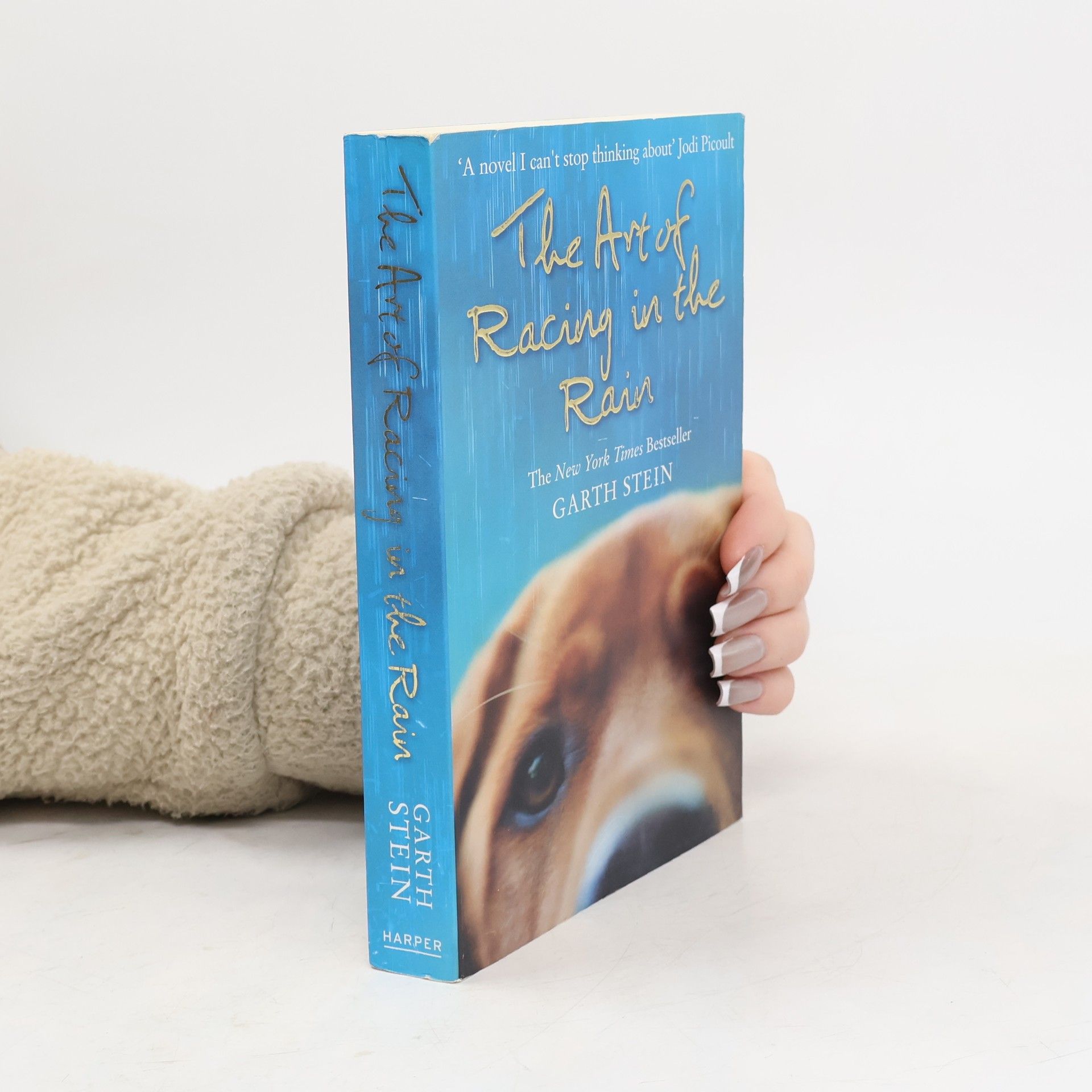 Garth Stein The Art of Racing in the Rain