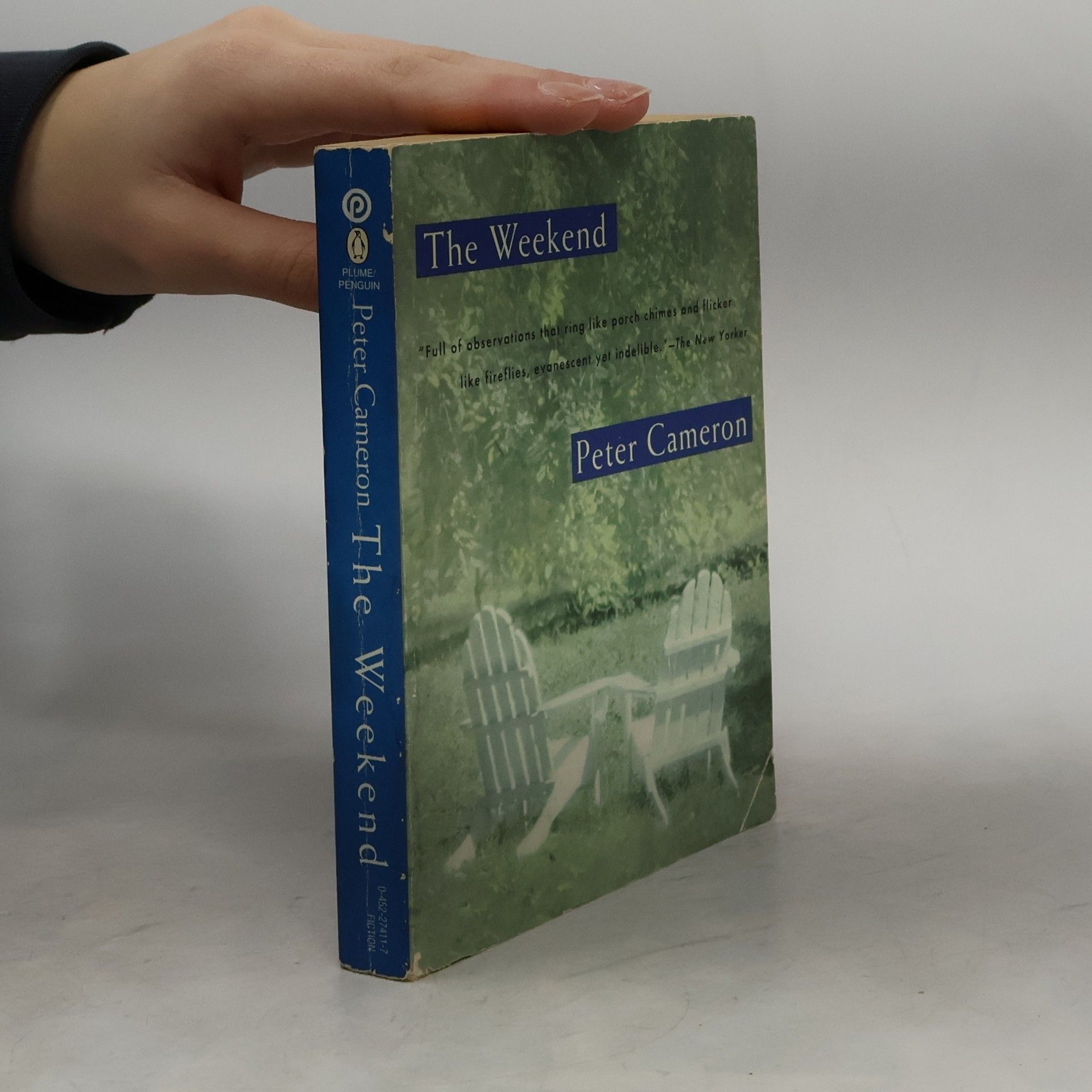 Peter Cameron The Weekend