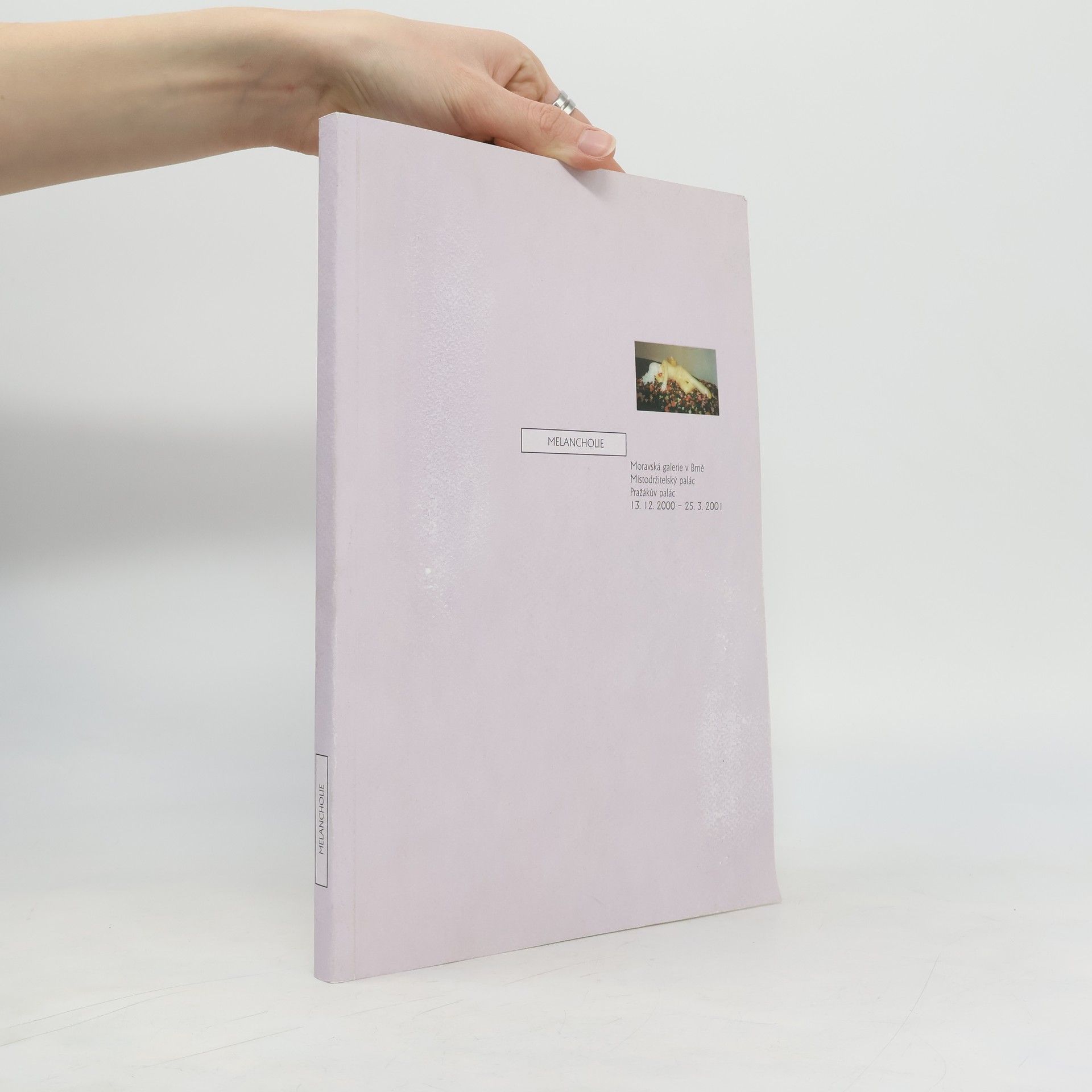 Rakouské malířstvi 19. století v moravských sbírkách