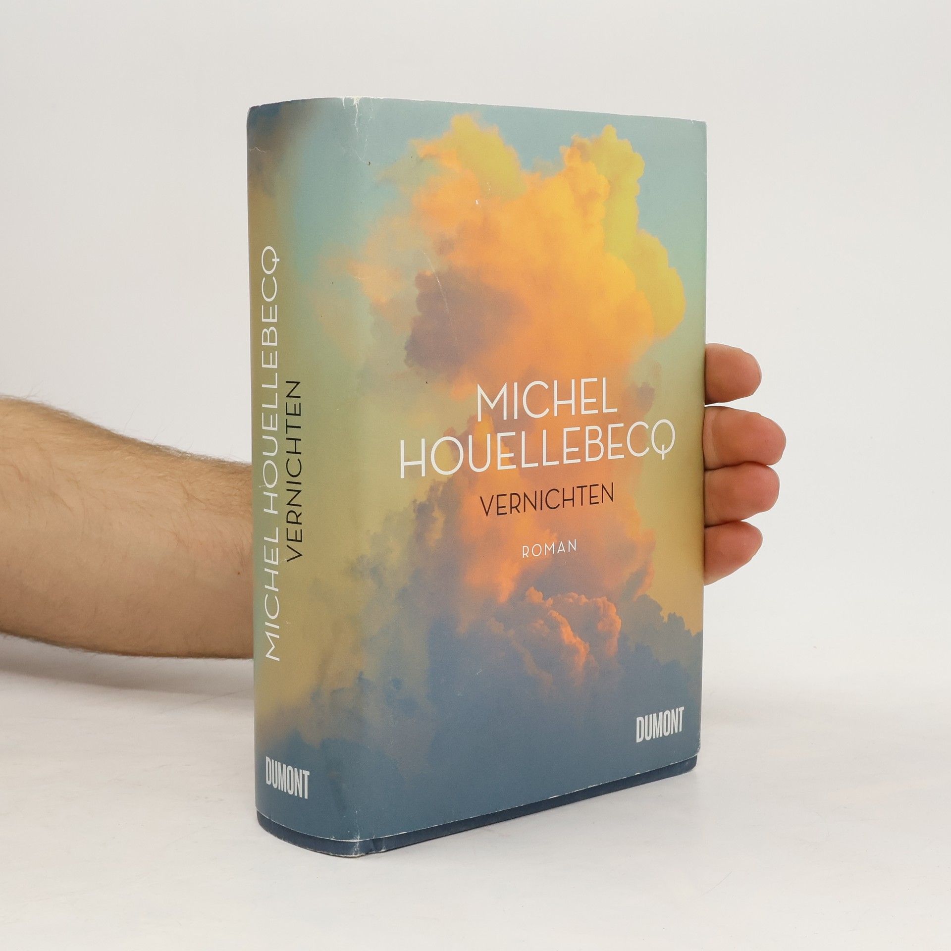 Michel Houellebecq Vernichten