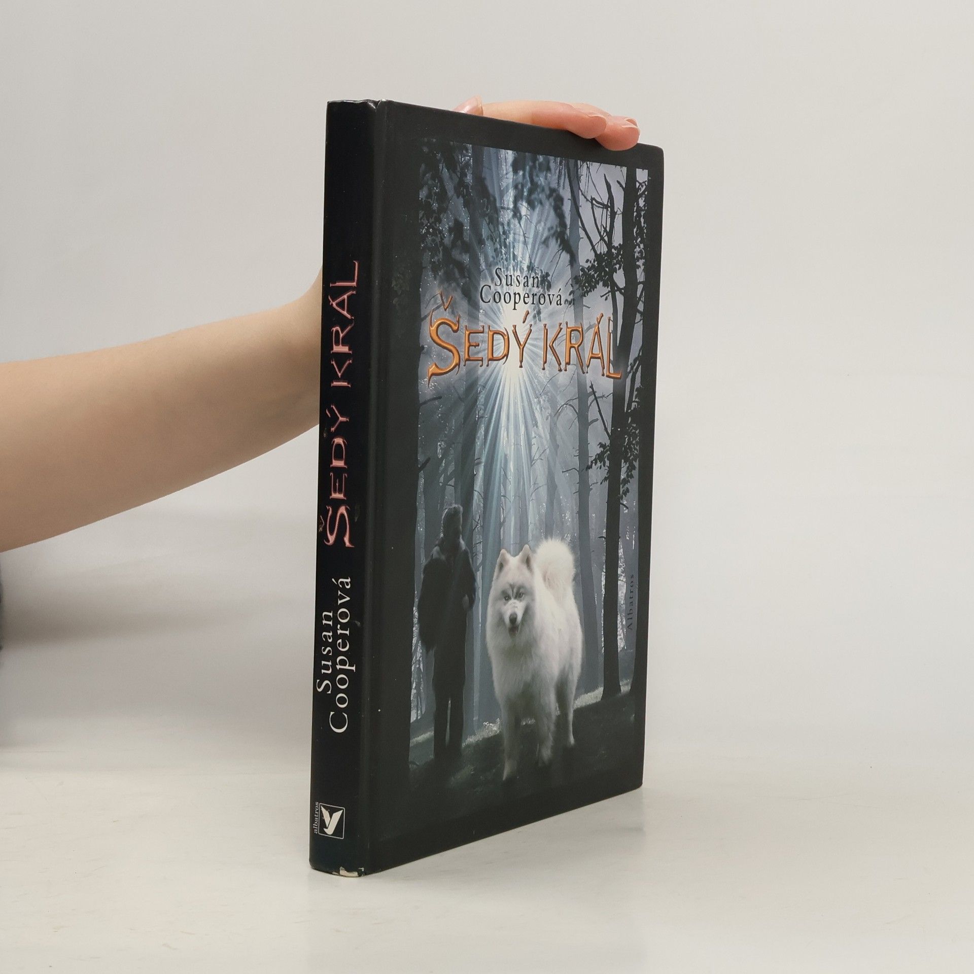 Susan Cooper Šedý král. Probuzení Tmy. Díl 3.