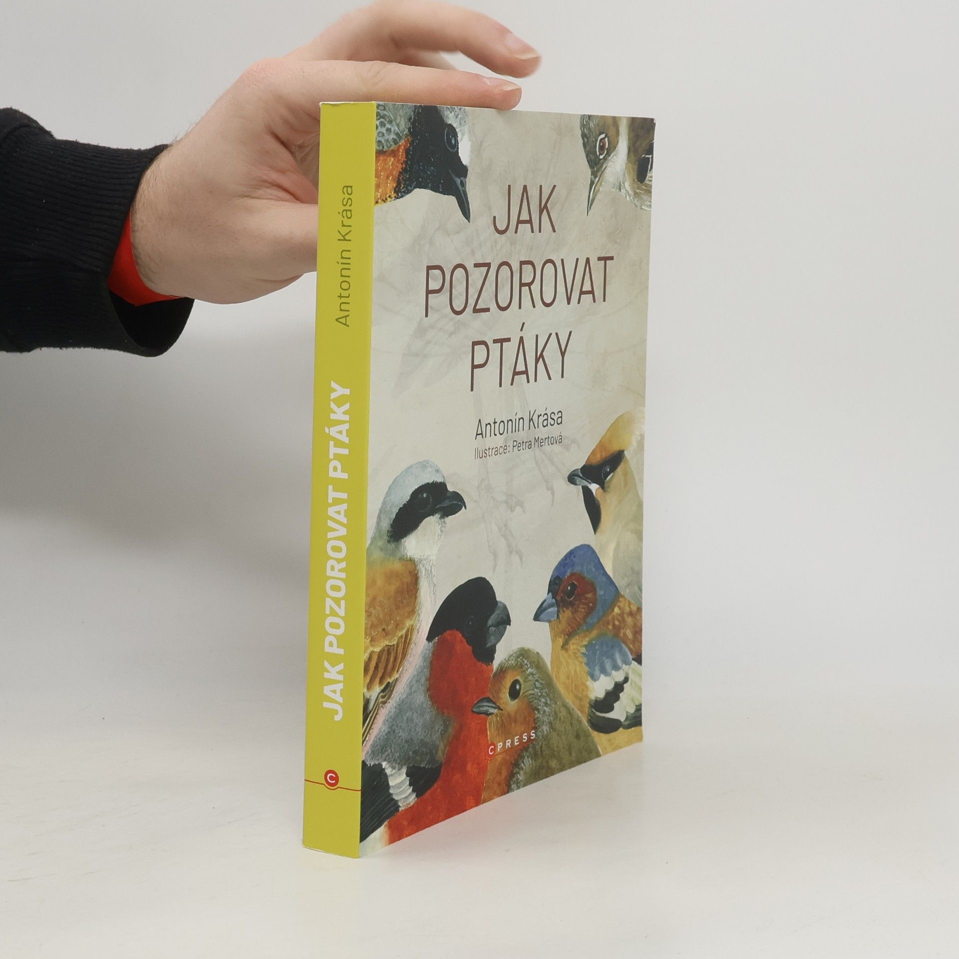 Jak pozorovat ptáky