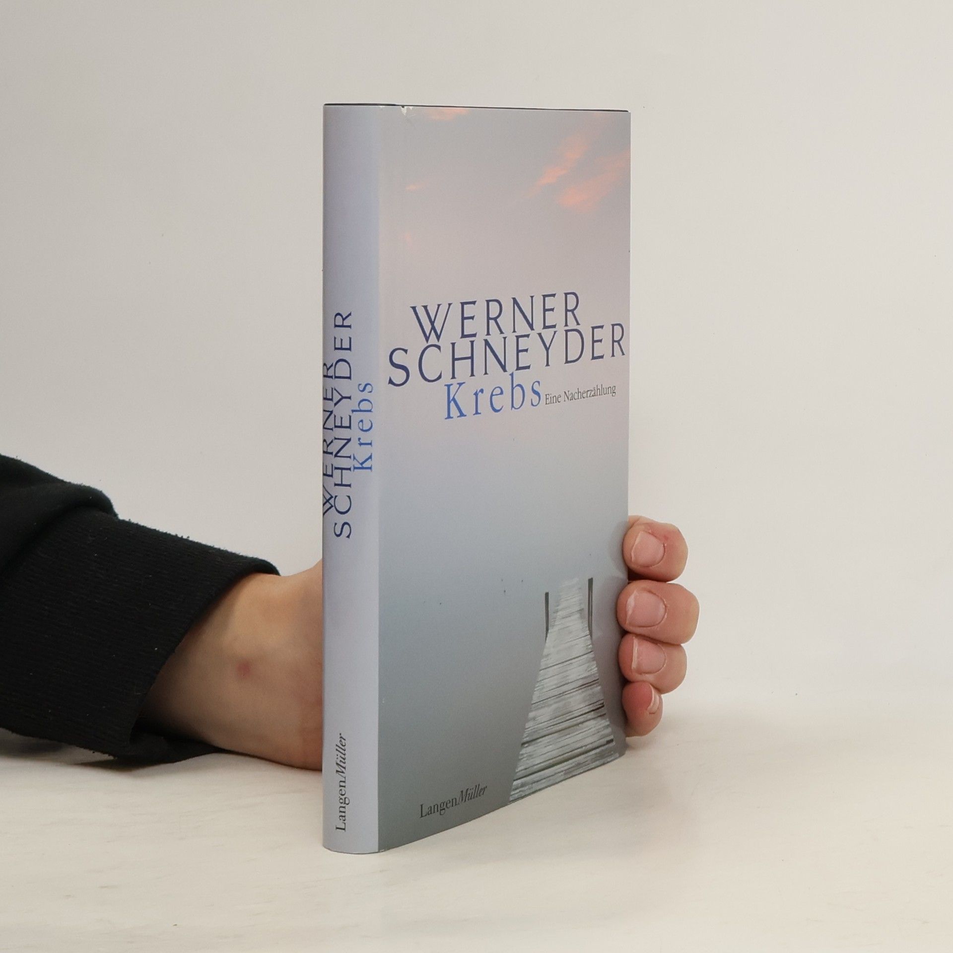 Werner Schneyder Krebs