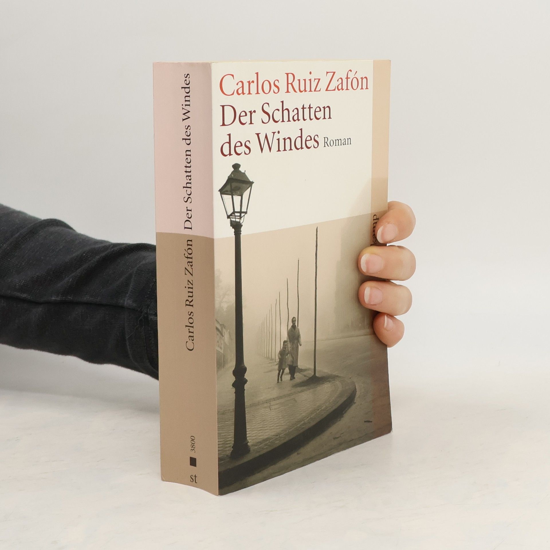 Carlos Ruiz Zafón Der Schatten des Windes